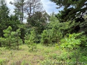 753 N County Road 4360 Property Photo 6