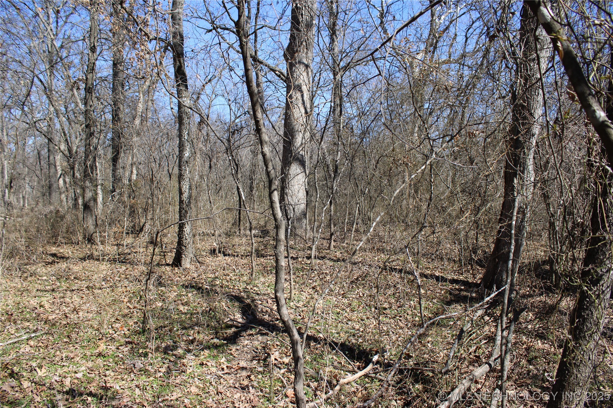 E 540 Road Property Photo 2