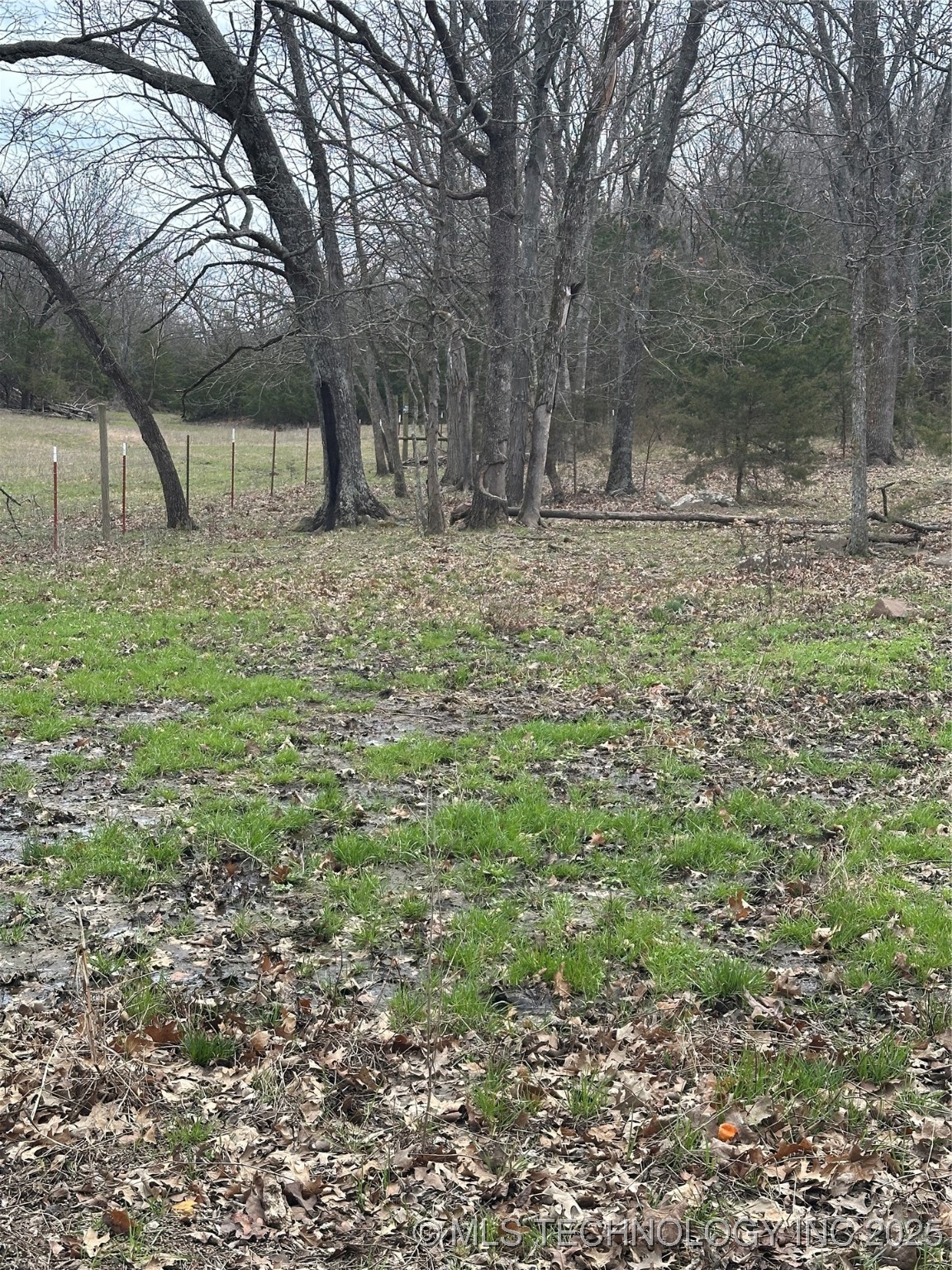 Hickory Lane Property Photo