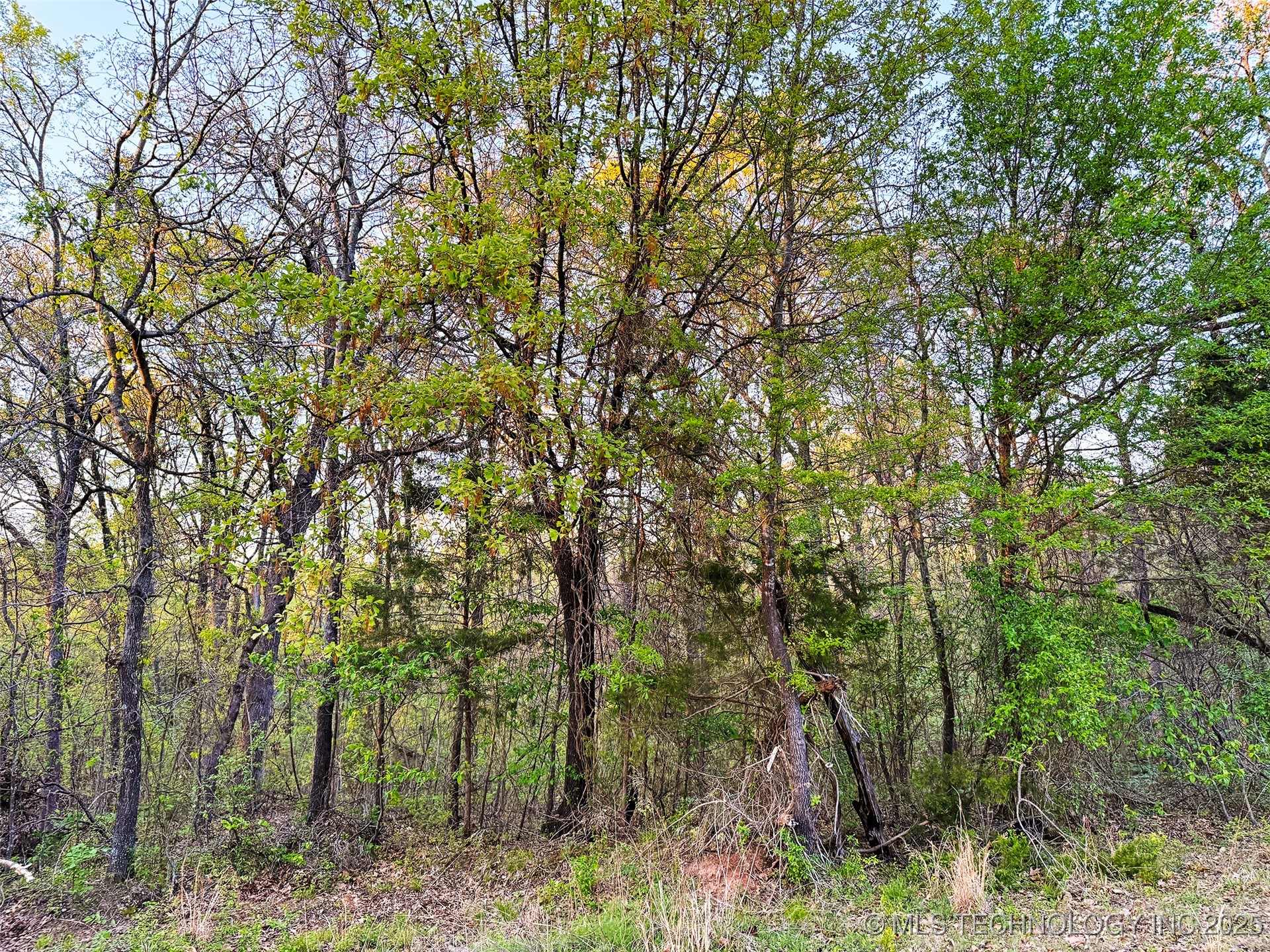 414163 Cherry Hills Drive Property Photo 11