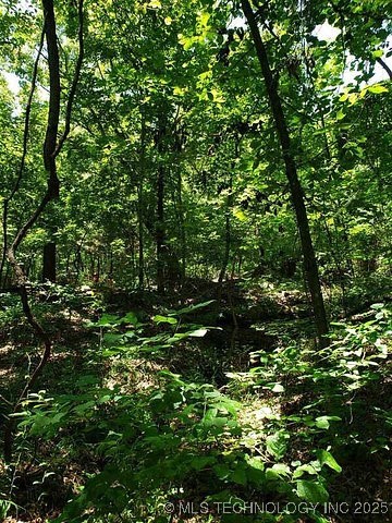 1 Jackson Mountain Road Property Photo 1