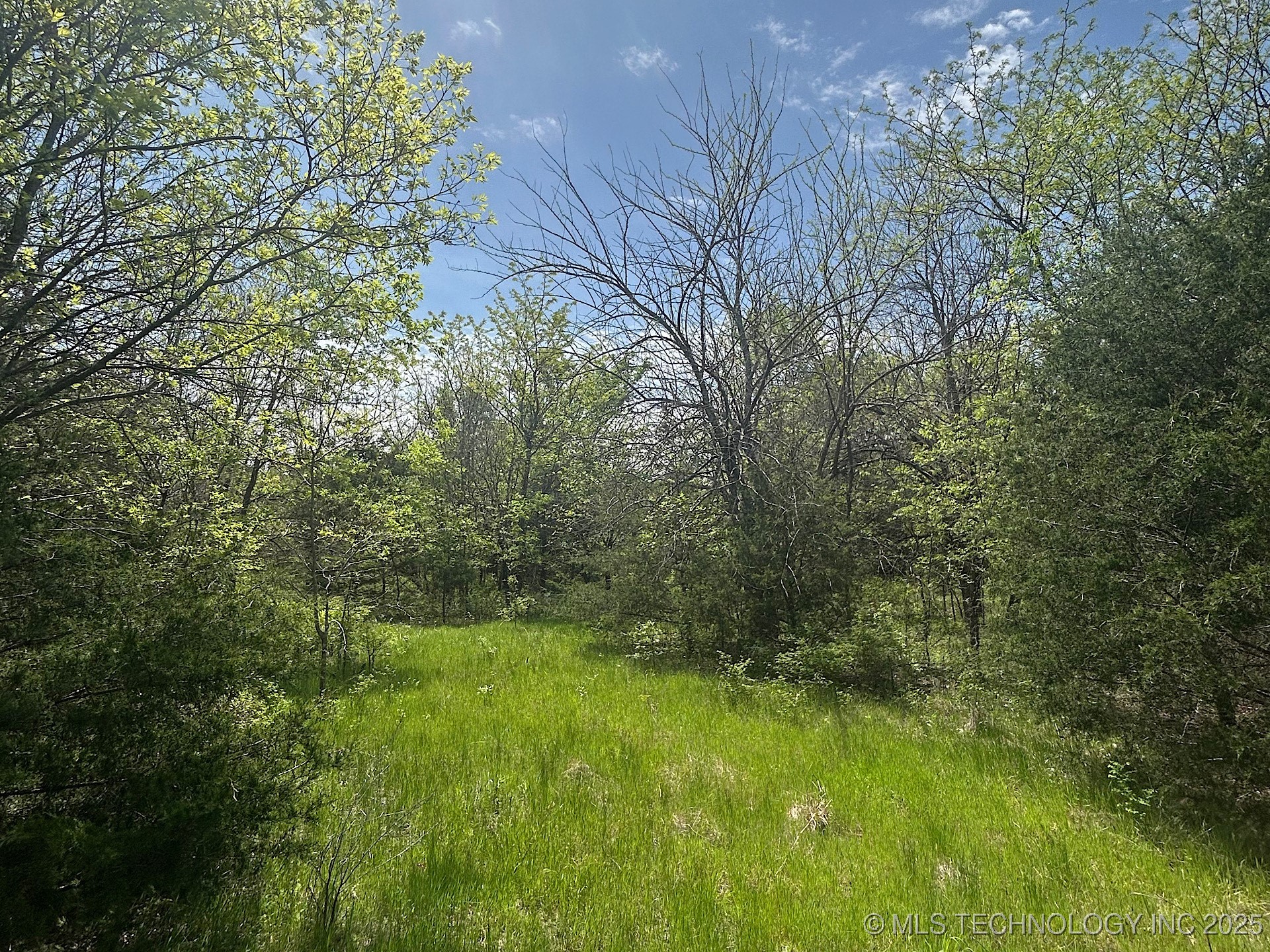 16206 Briar Creek Property Photo