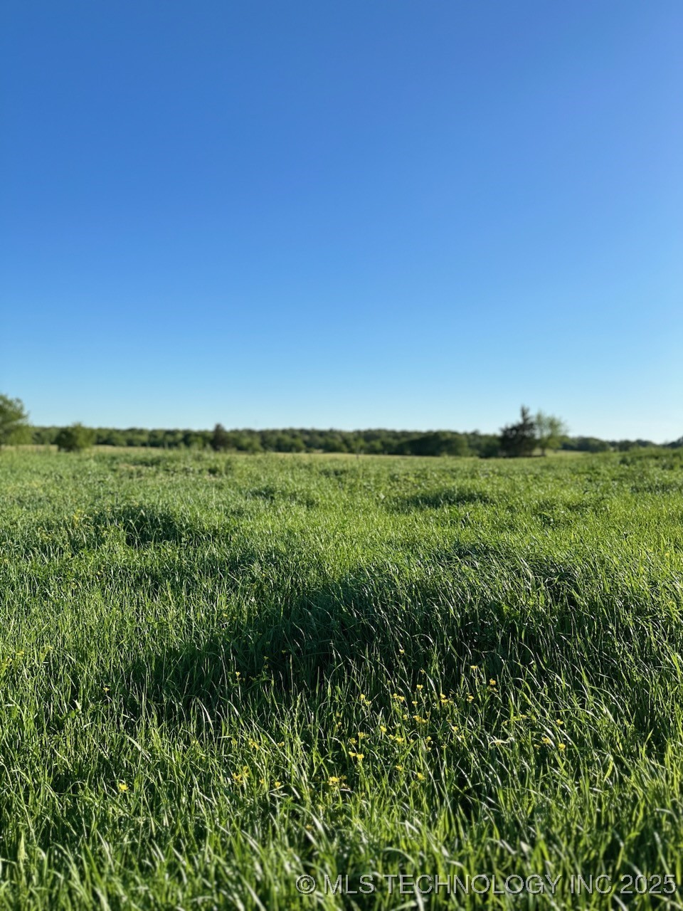 1331 N Push Co Line Property Photo 14