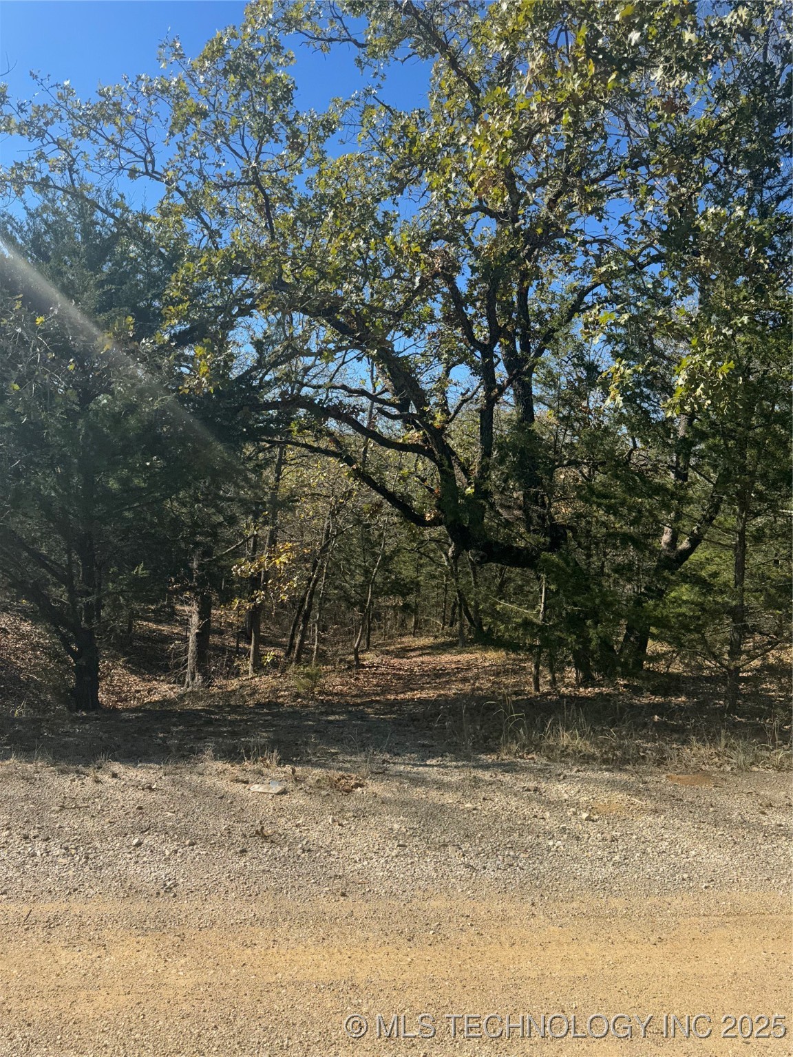 Walnut Circle Property Photo