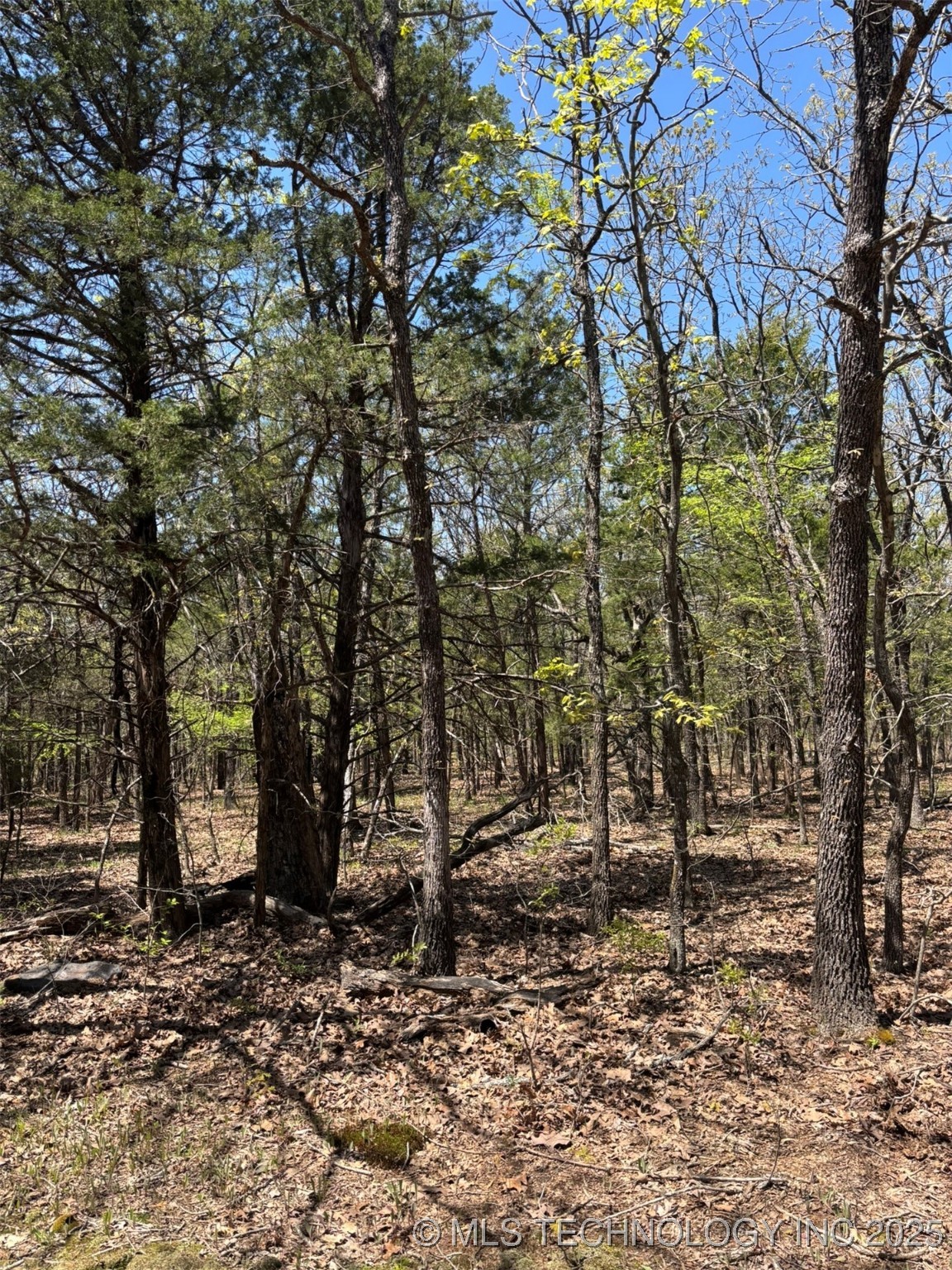 N Coyote Road Property Photo 1
