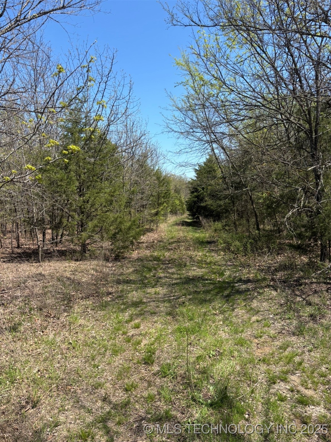 N Coyote Road Property Photo 5
