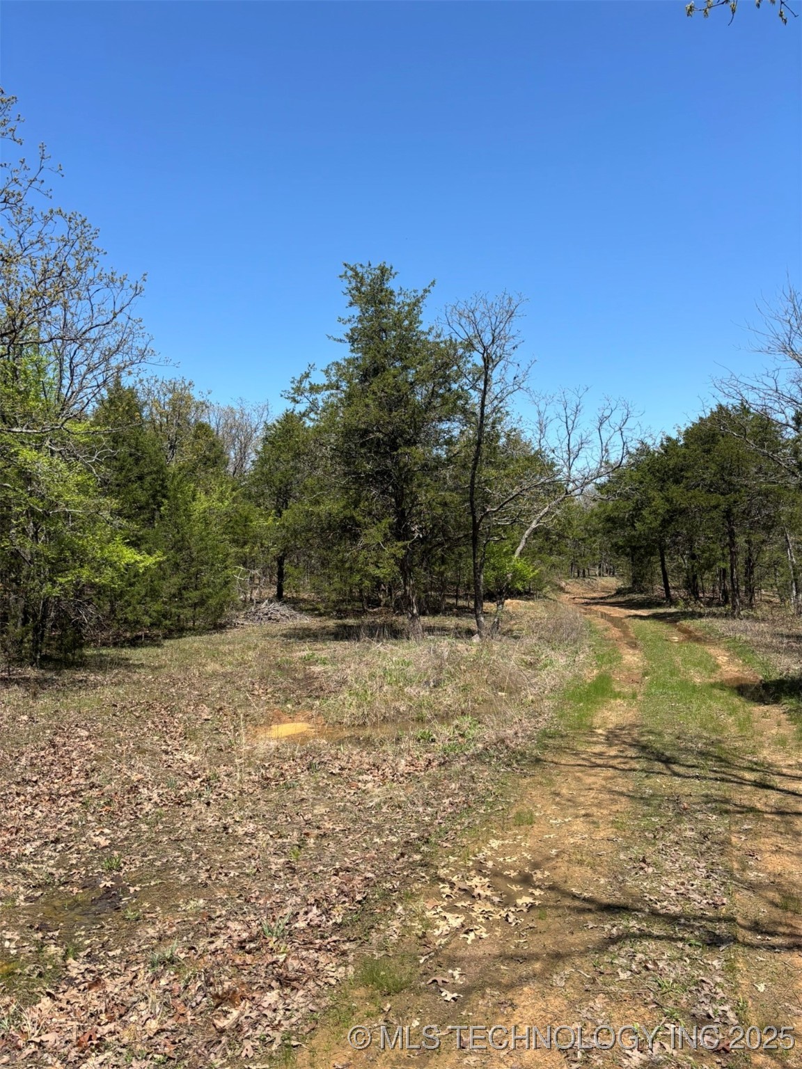 N Coyote Road Property Photo 6