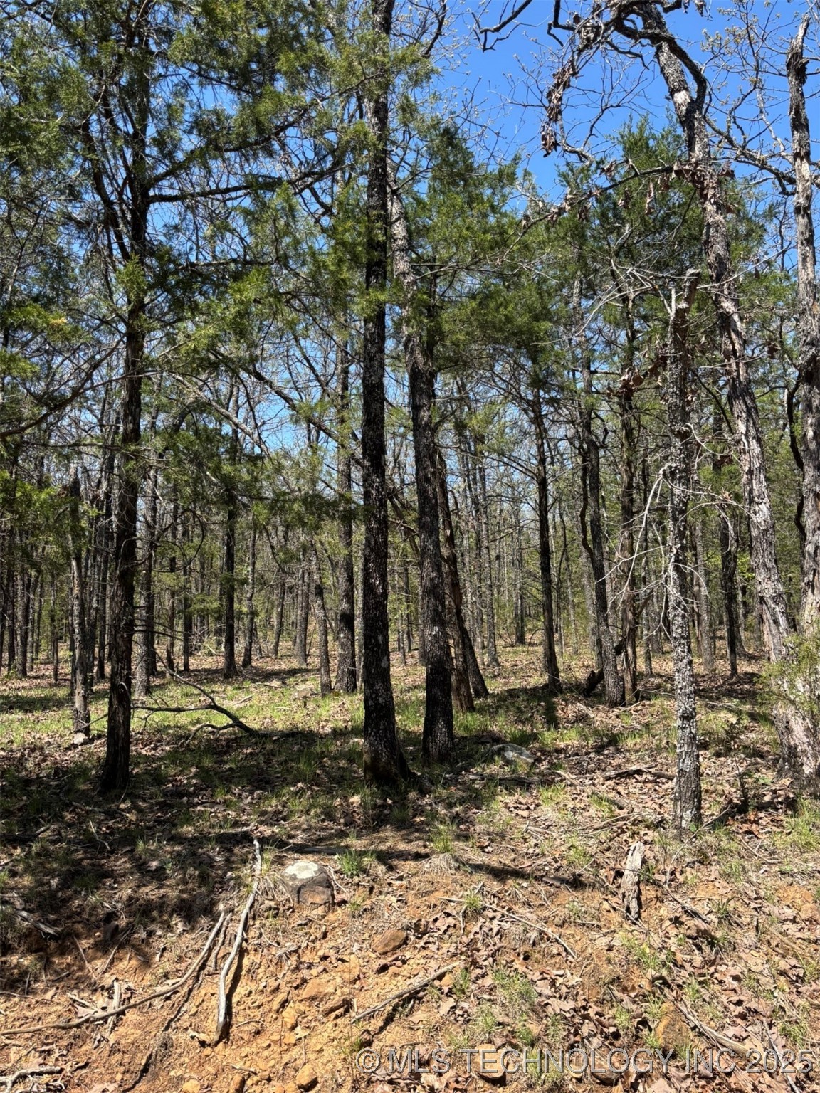 N Coyote Road Property Photo 7