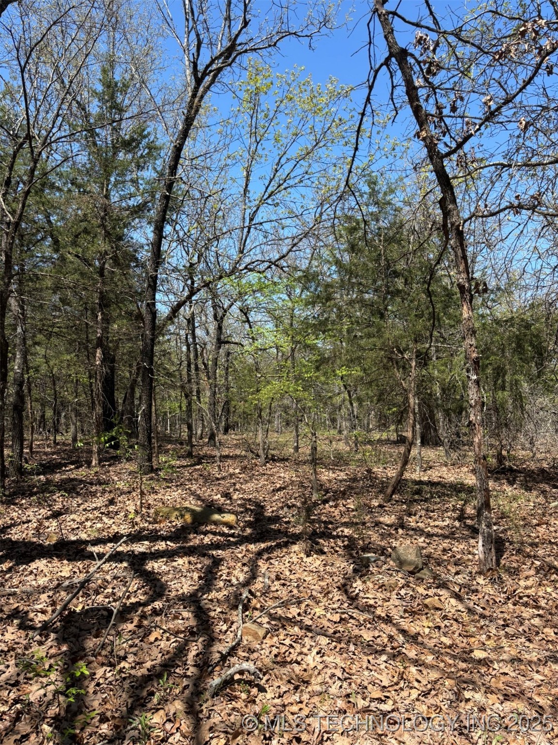 N Coyote Road Property Photo 10