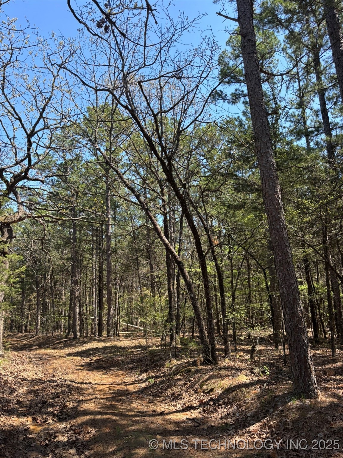 N Coyote Road Property Photo 11