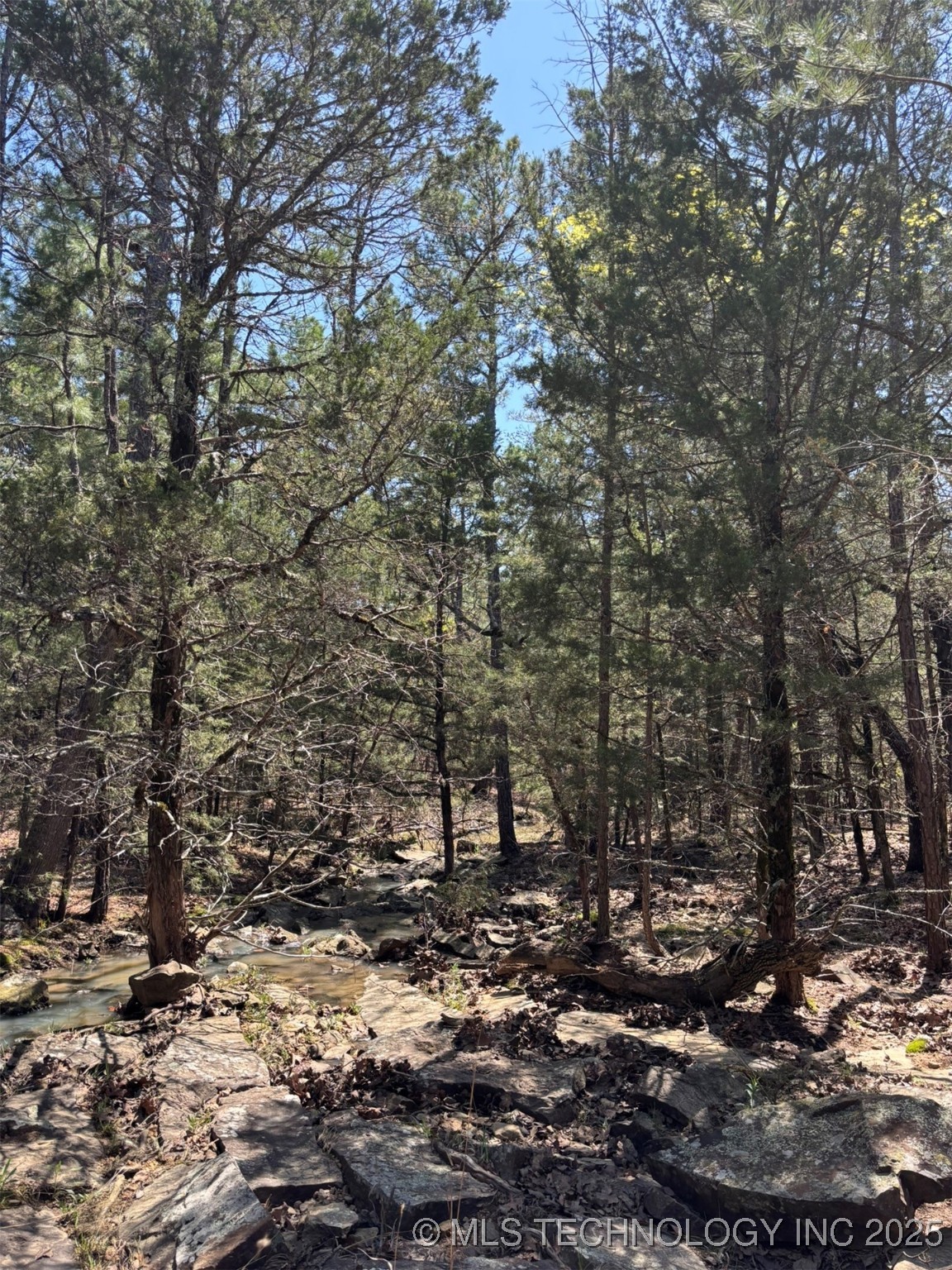 N Coyote Road Property Photo 13