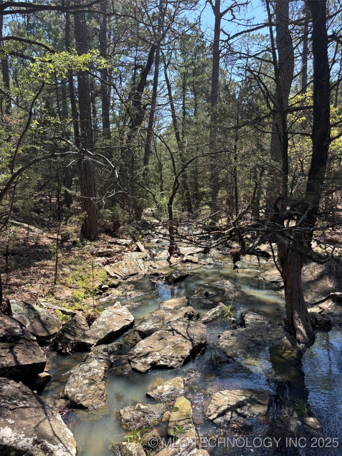 N Coyote Road Property Photo 14