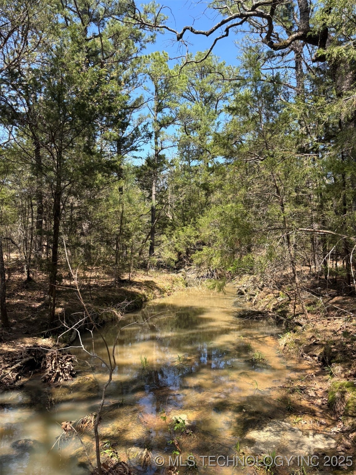 N Coyote Road Property Photo 15