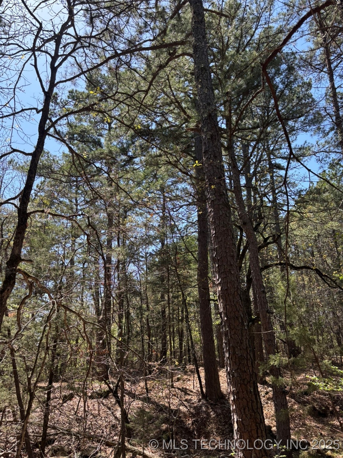 N Coyote Road Property Photo 17