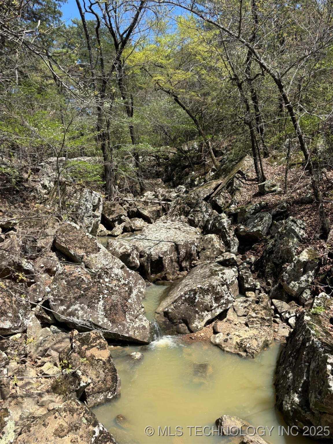 N Coyote Road Property Photo 20
