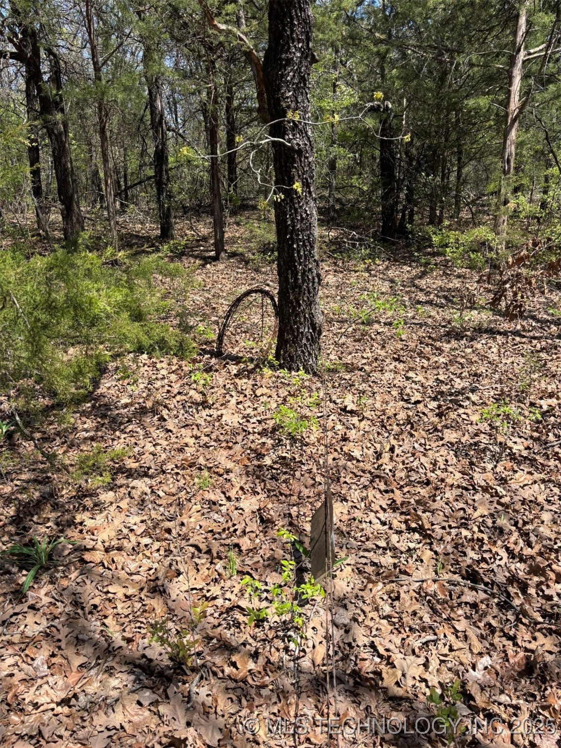 N Coyote Road Property Photo 22