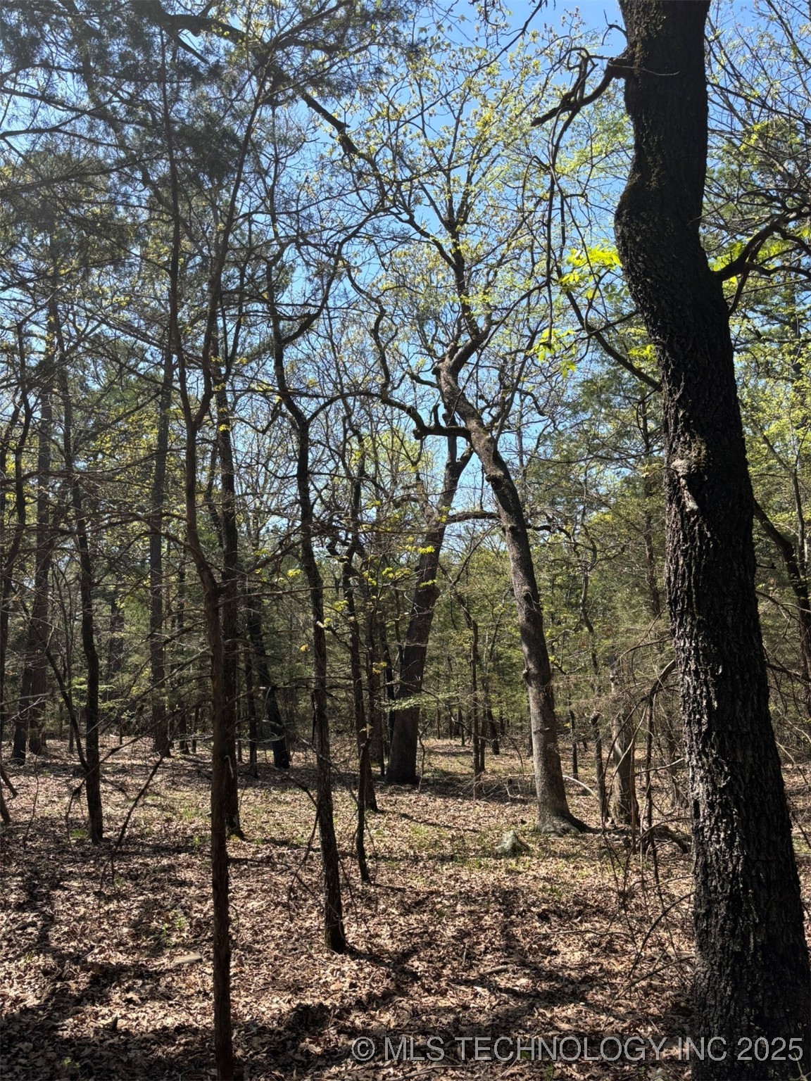 N Coyote Road Property Photo 23