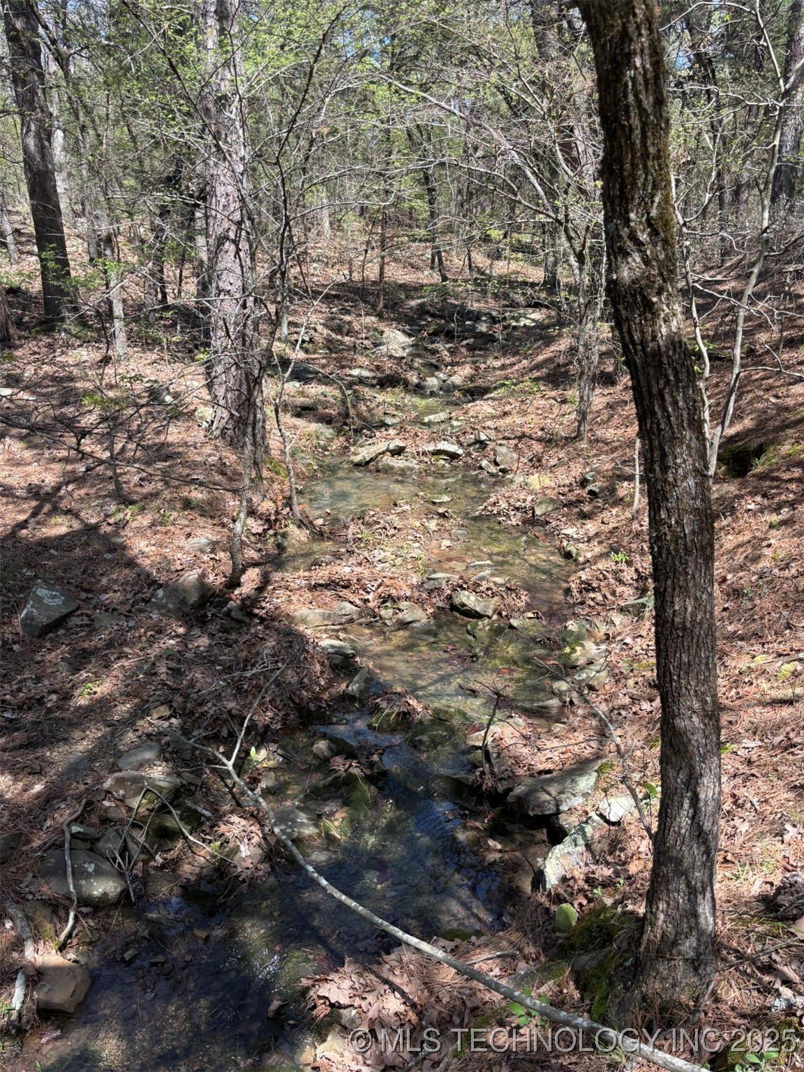 N Coyote Road Property Photo 24