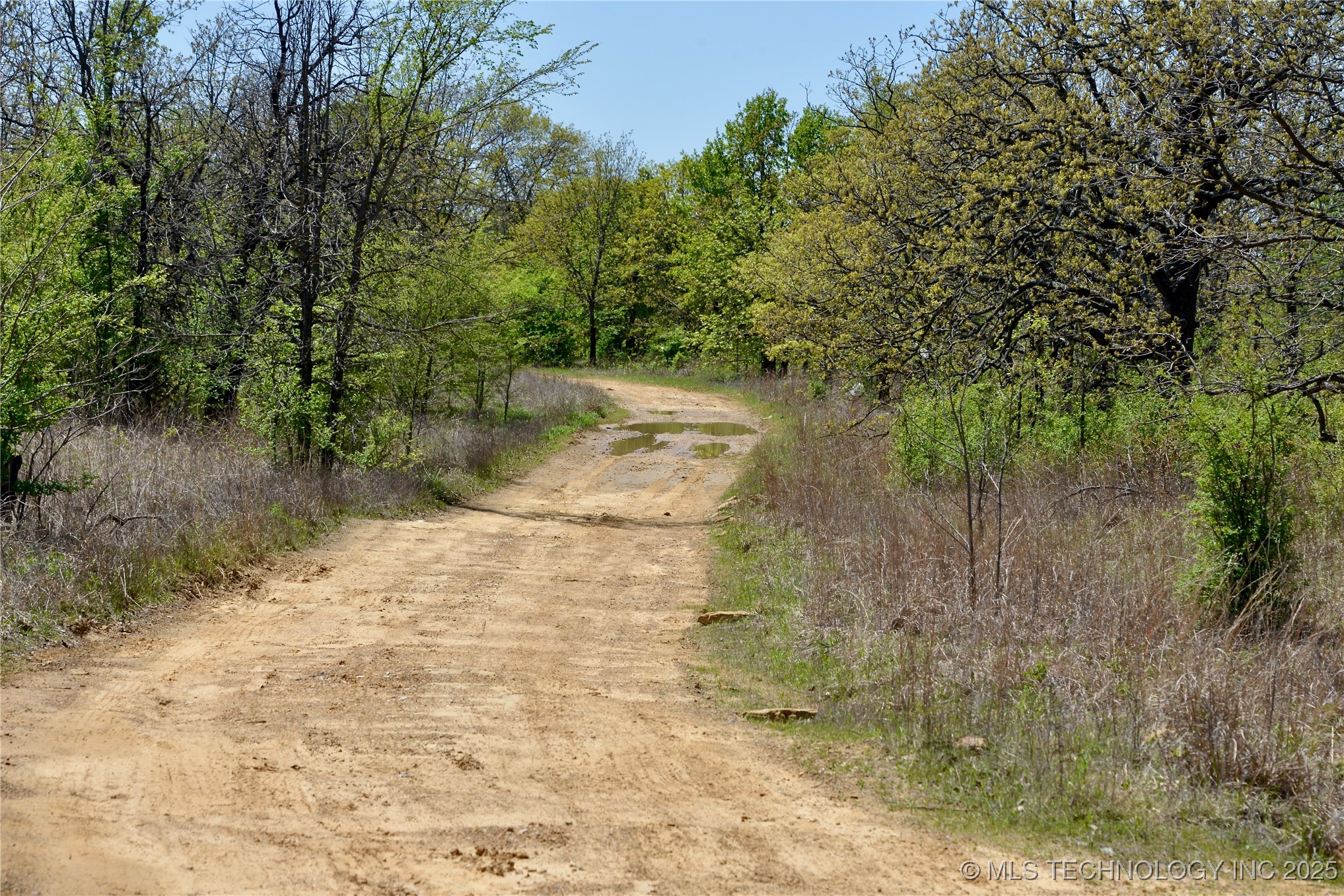 County Road 1170 Property Photo