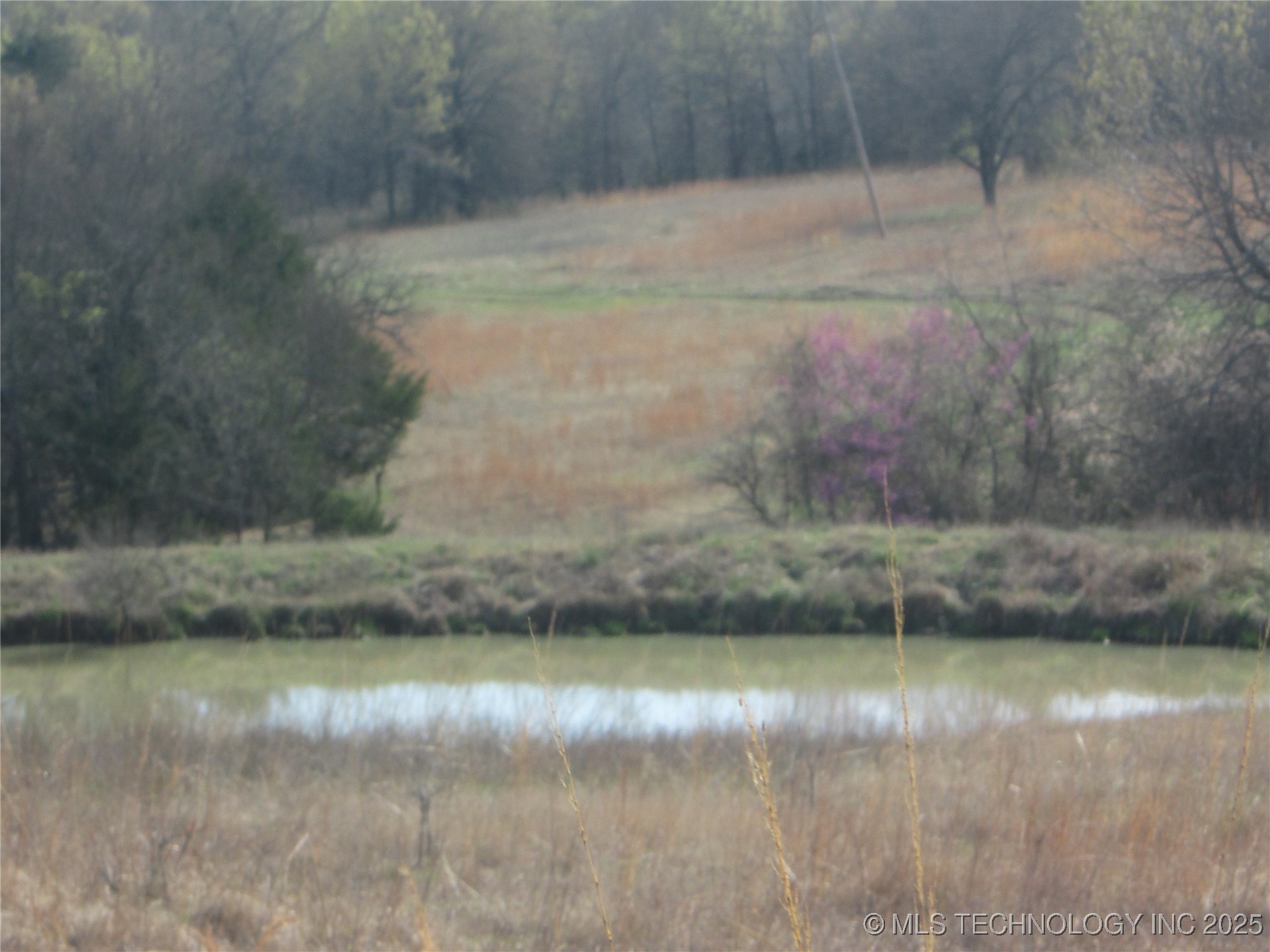 0 County Road 3615 Road
