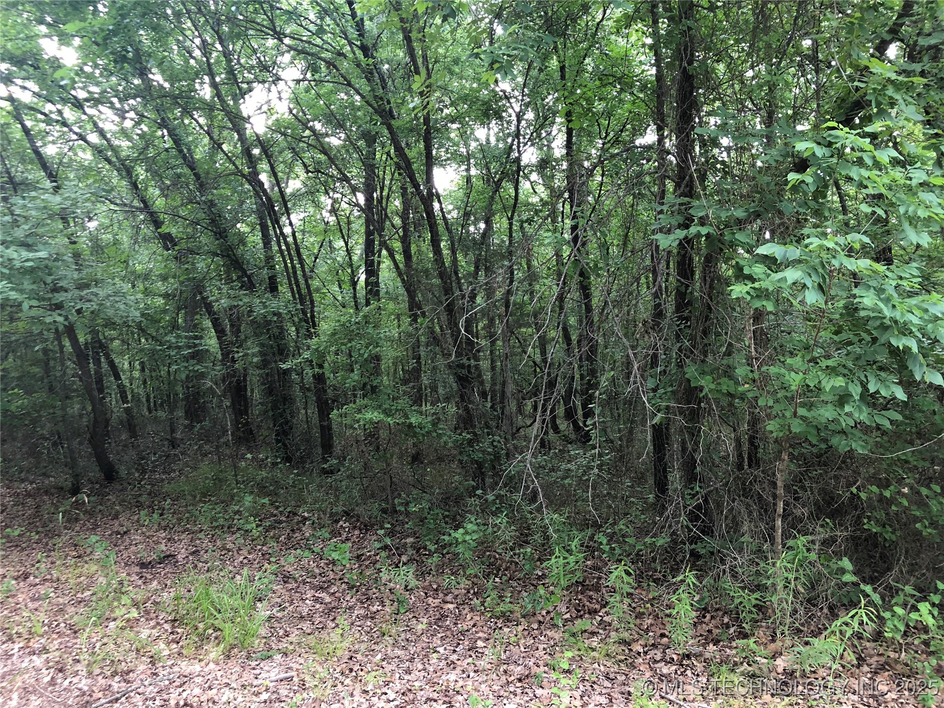 Hwy 70 Property Photo