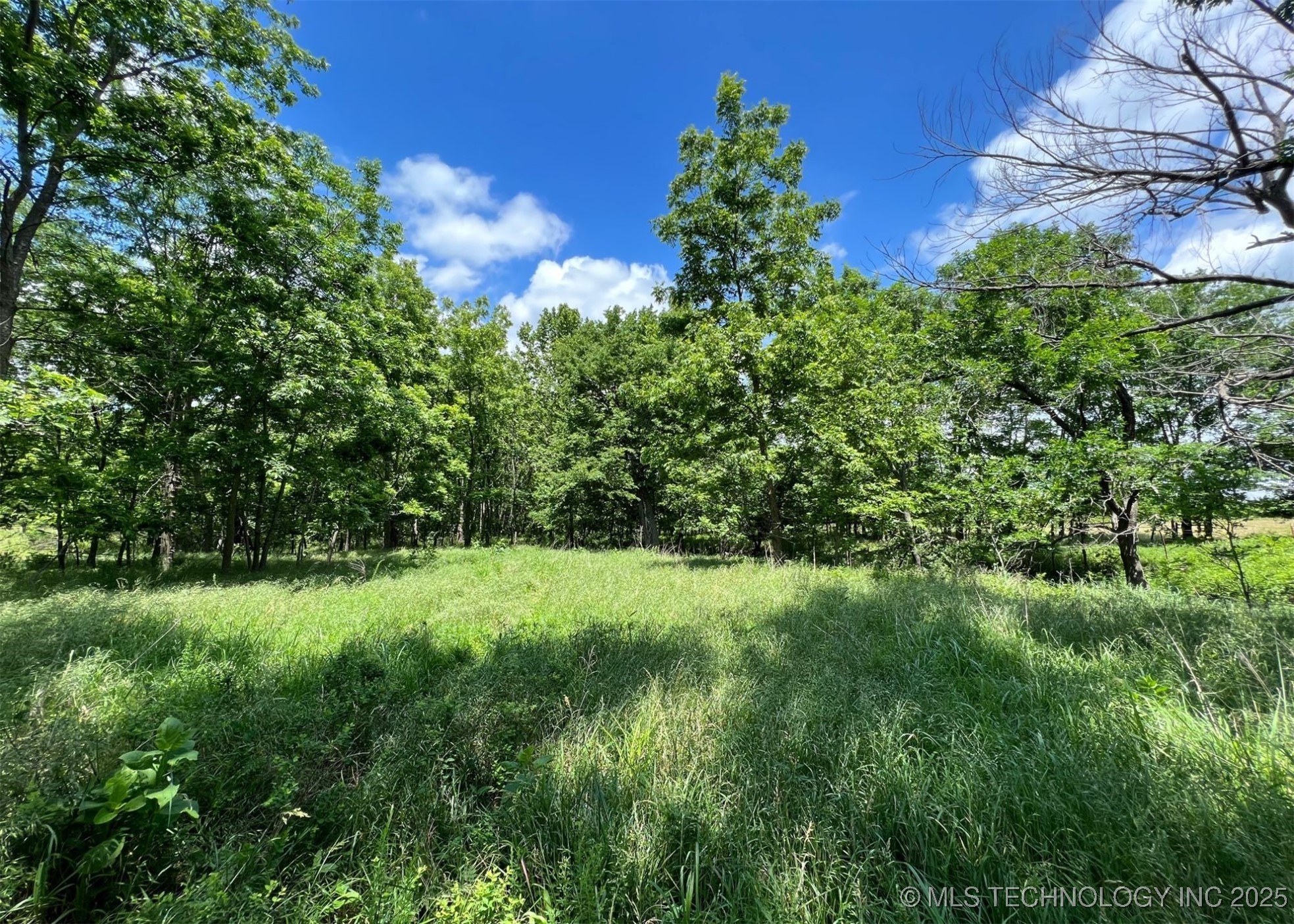 397790 W 2700 Road Property Photo 4