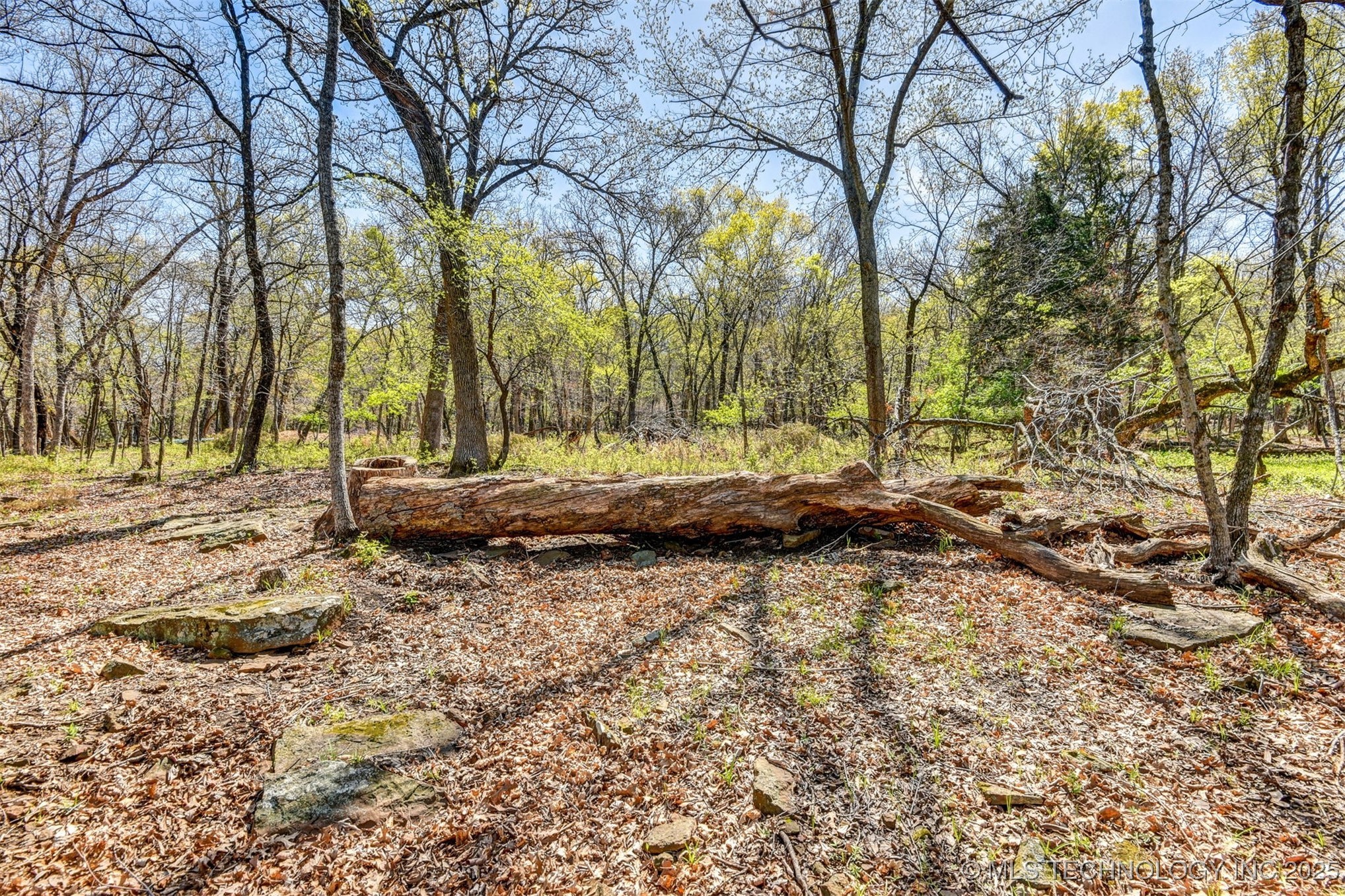 545 Cedar Boulevard Property Photo 34