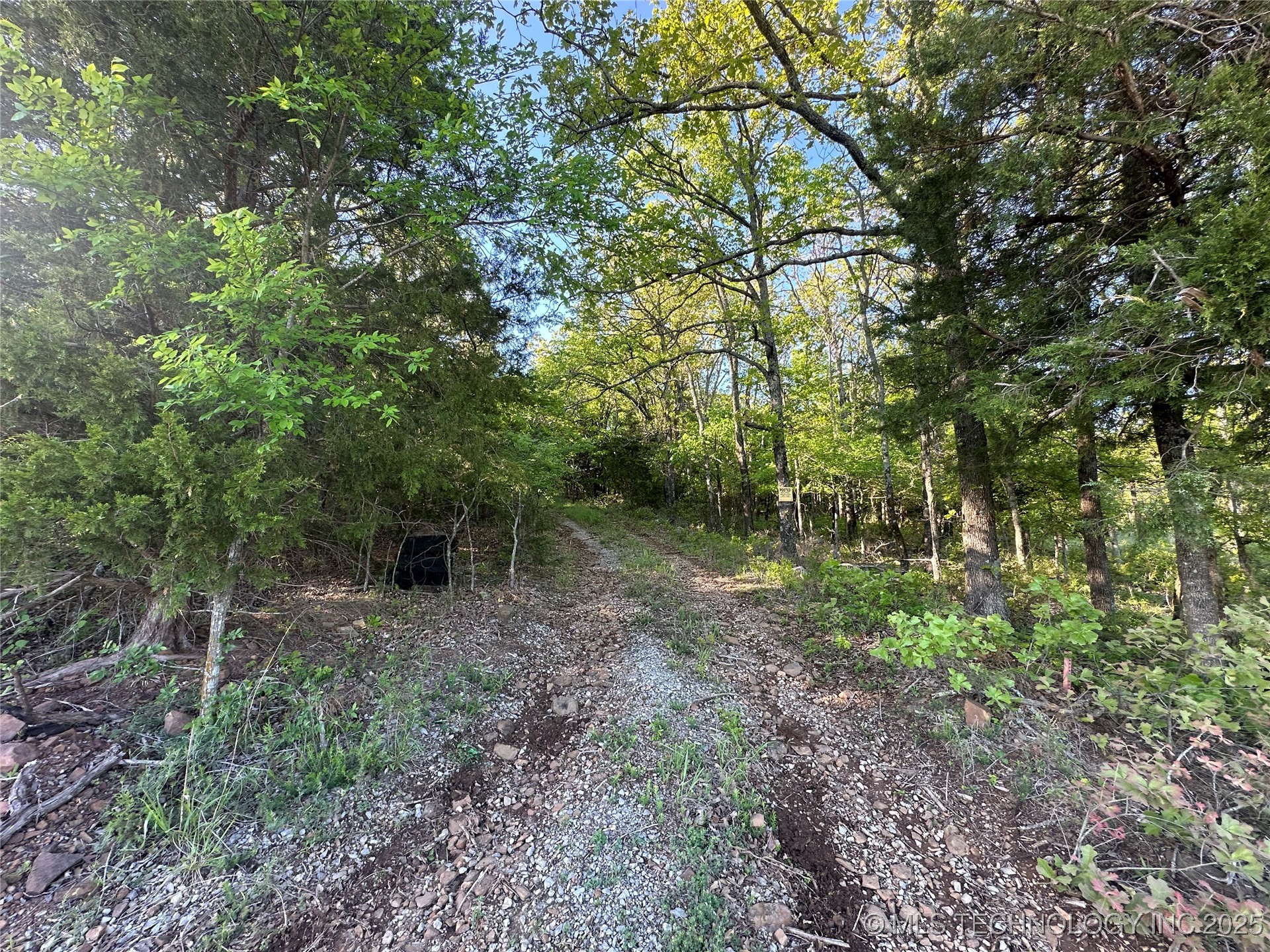 2516850 Property Photo