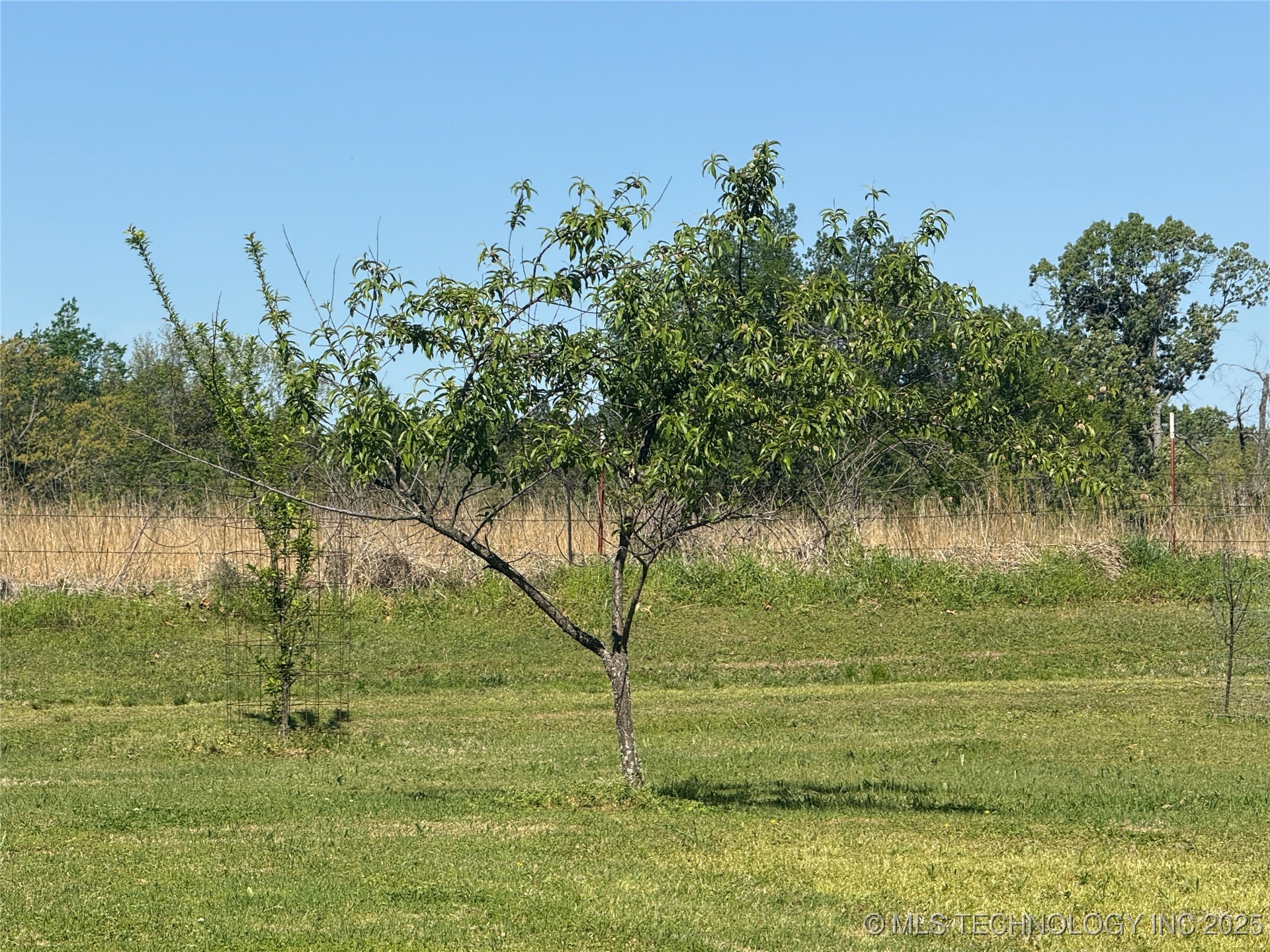 Aes Road Property Photo