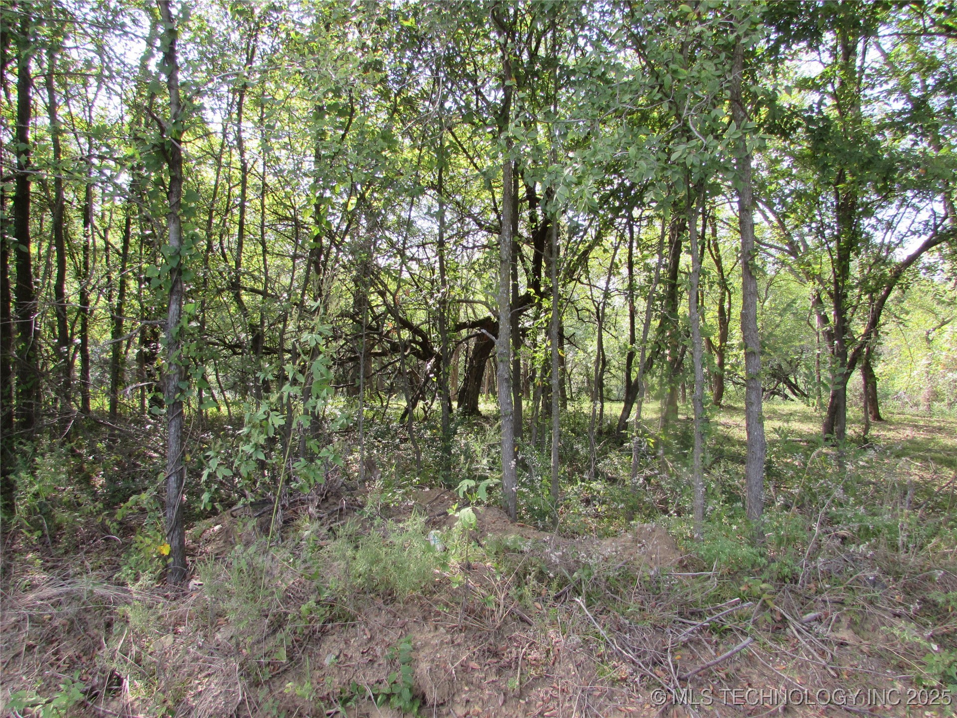 123 Gulick Street Property Photo 1