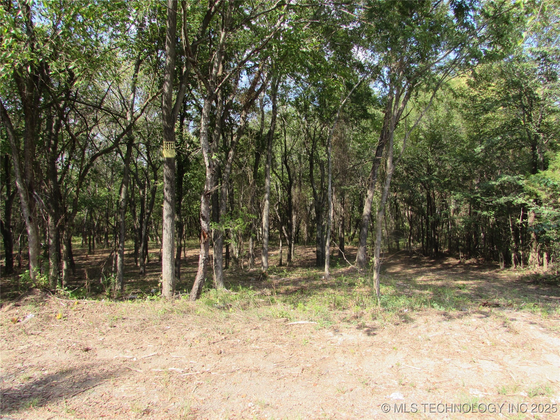 123 Gulick Street Property Photo 5