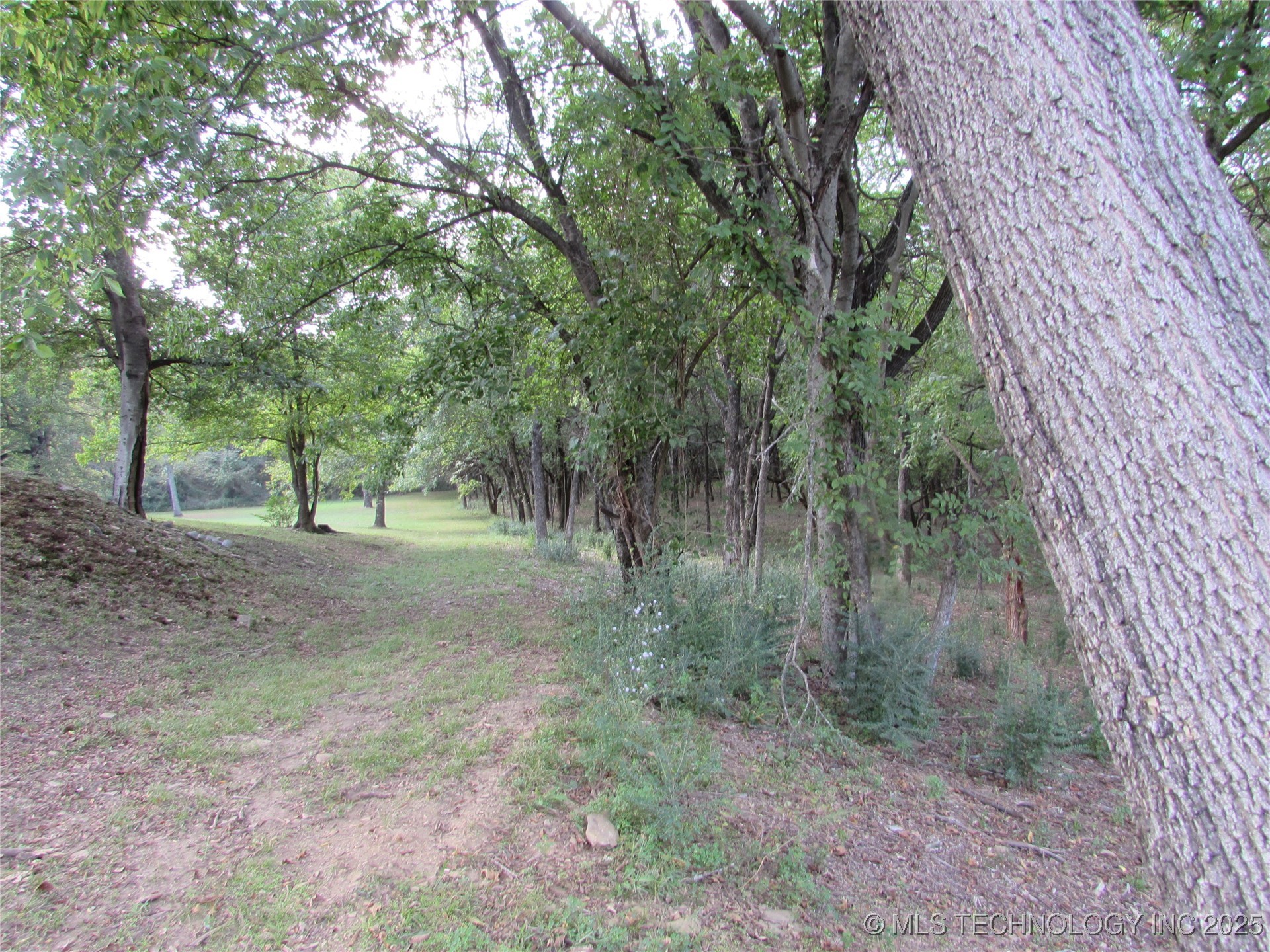 123 Gulick Street Property Photo 9