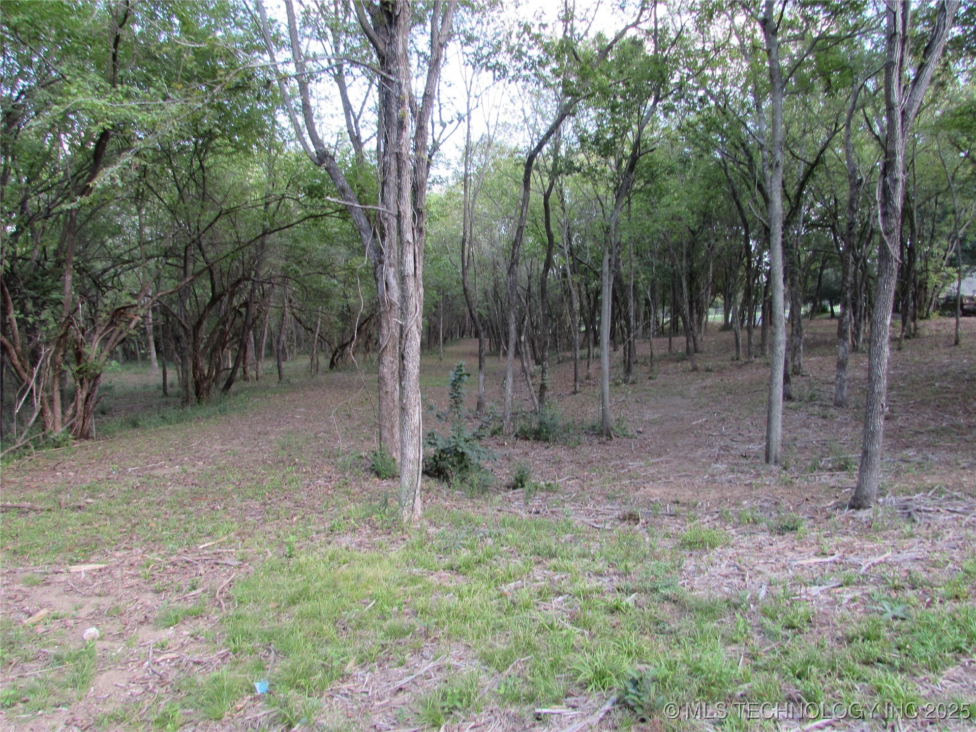 123 Gulick Street Property Photo 10