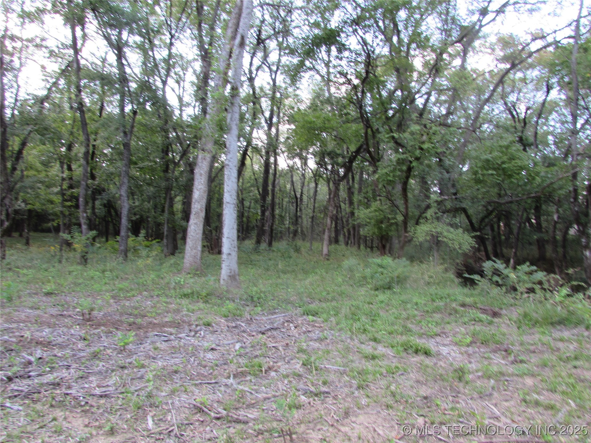 123 Gulick Street Property Photo 12