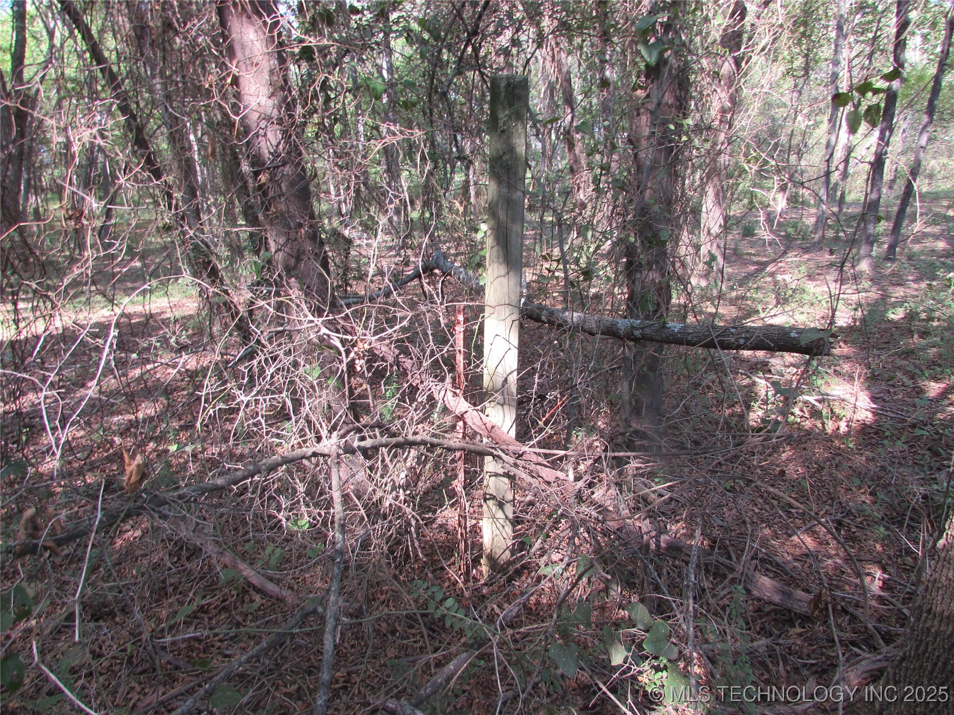 123 Gulick Street Property Photo 19
