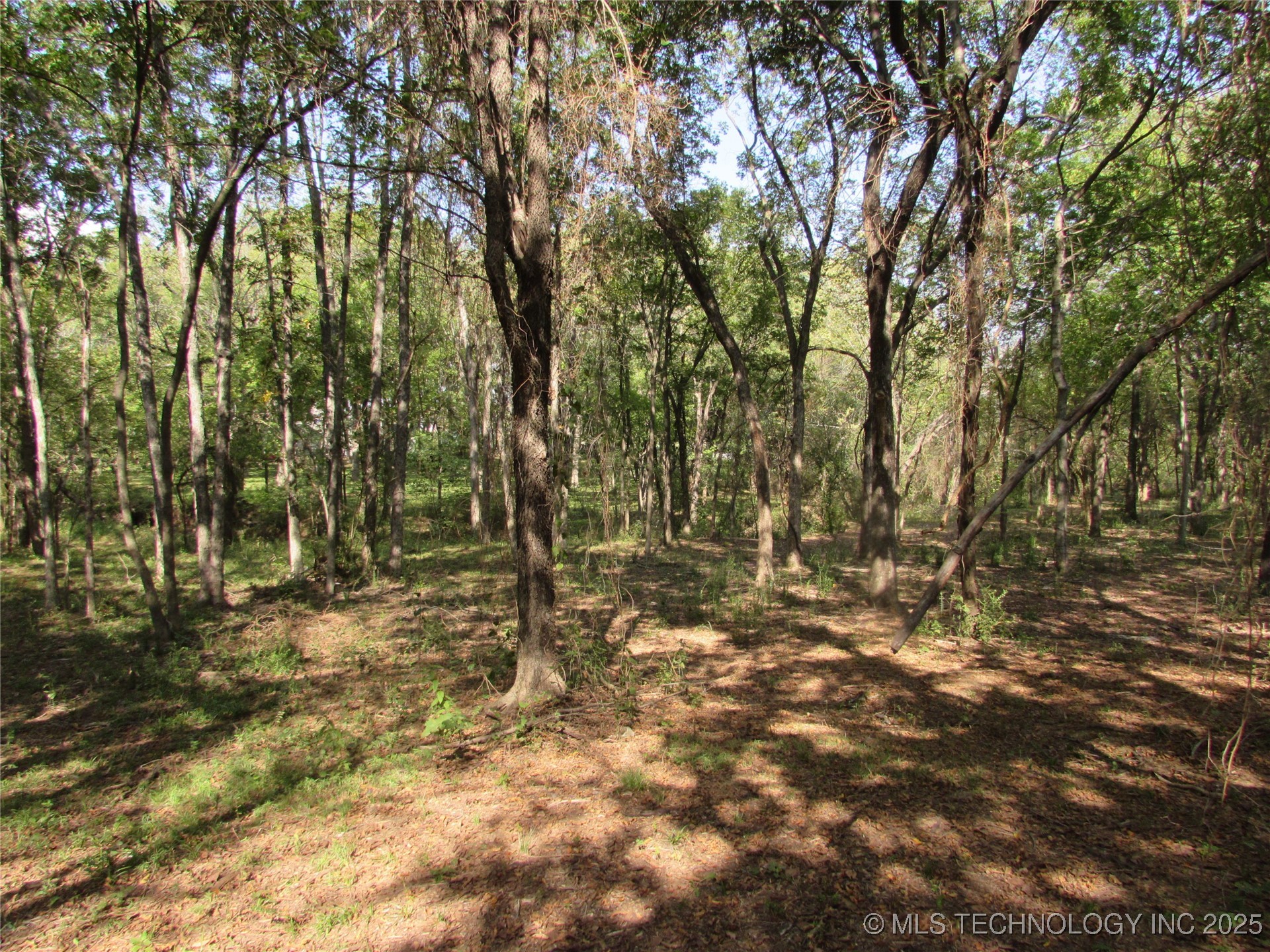 123 Gulick Street Property Photo 21