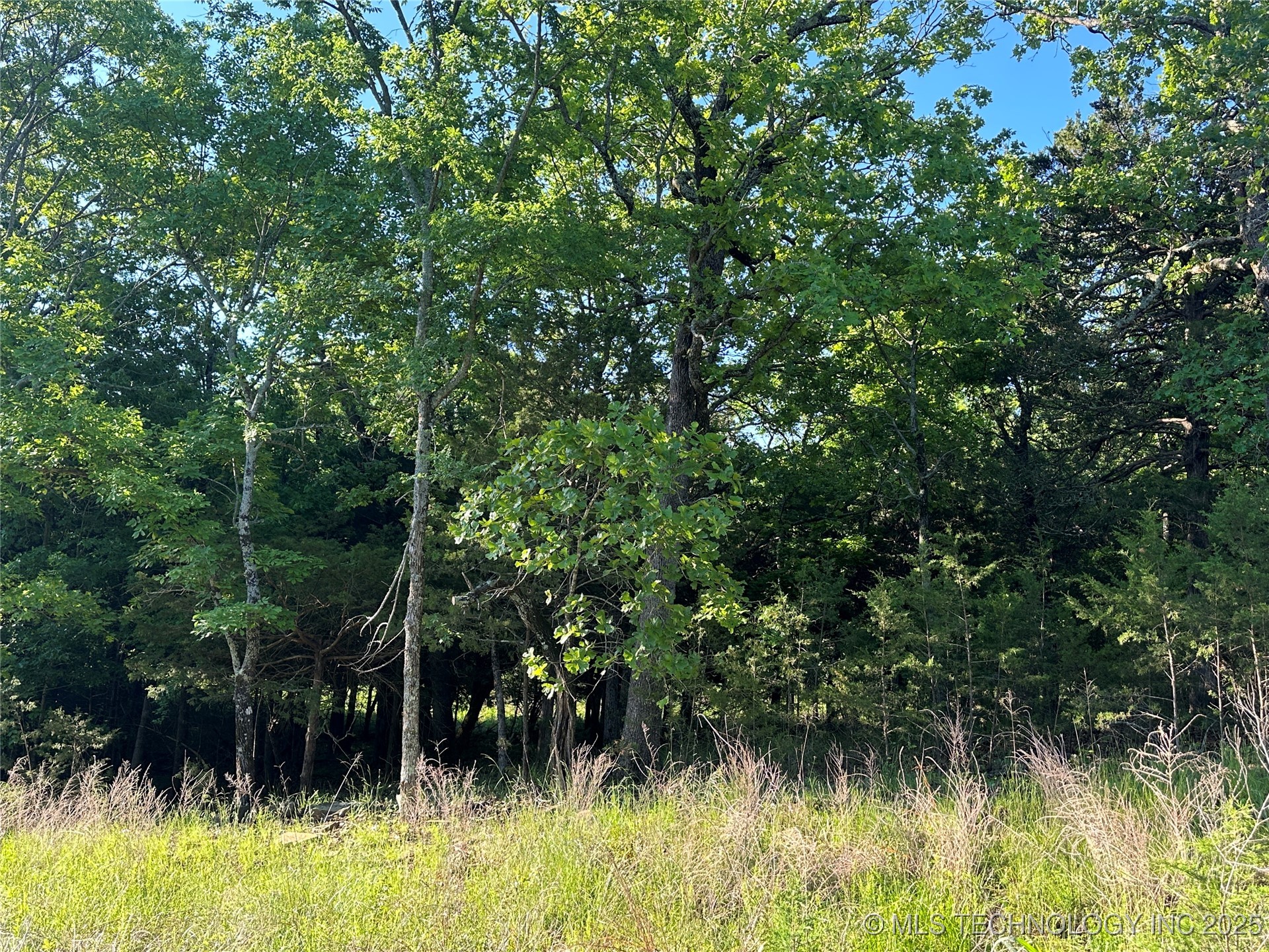 Summit Property Photo 1