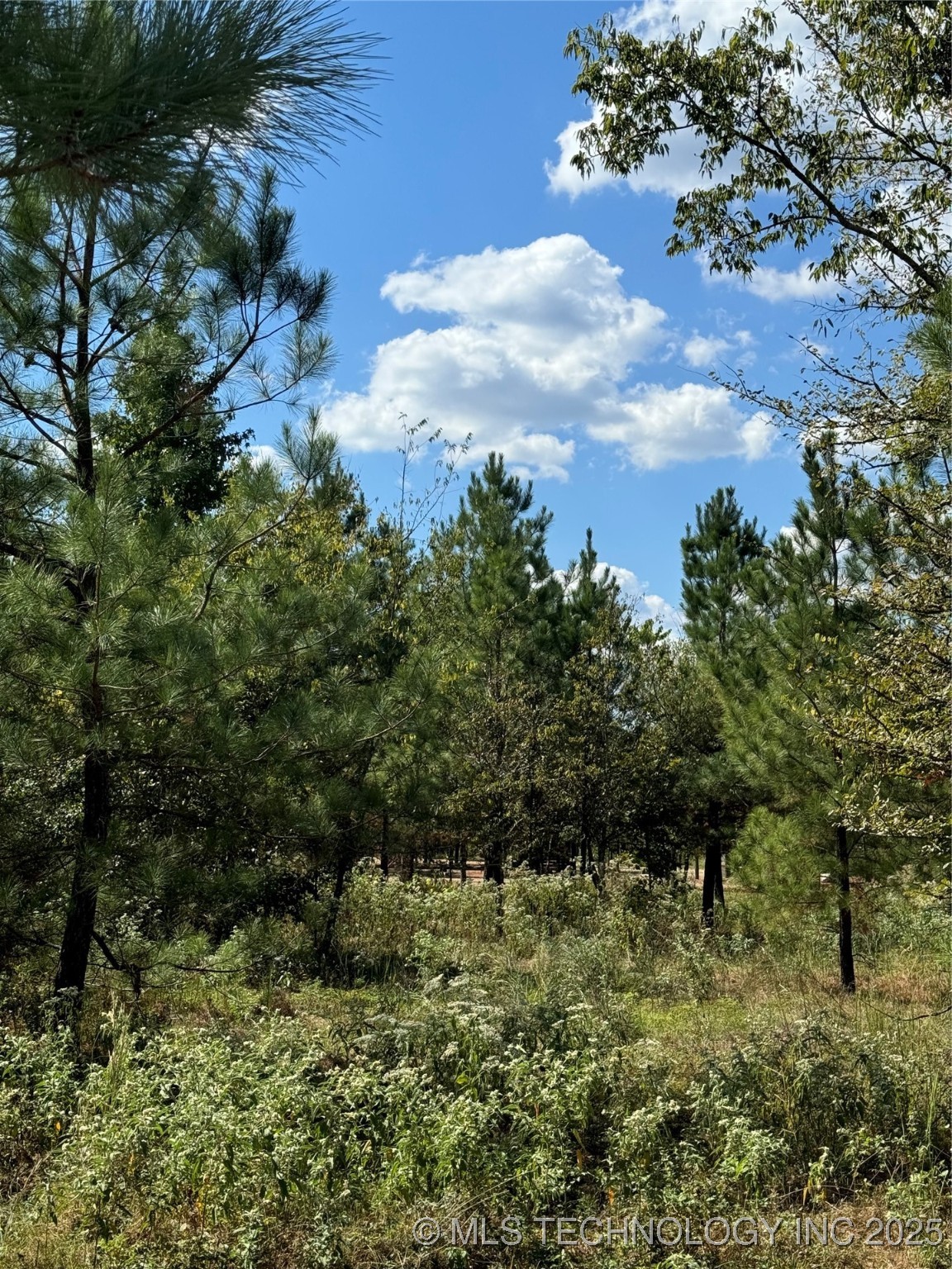 86 Hidden Pines Loop Property Photo 1