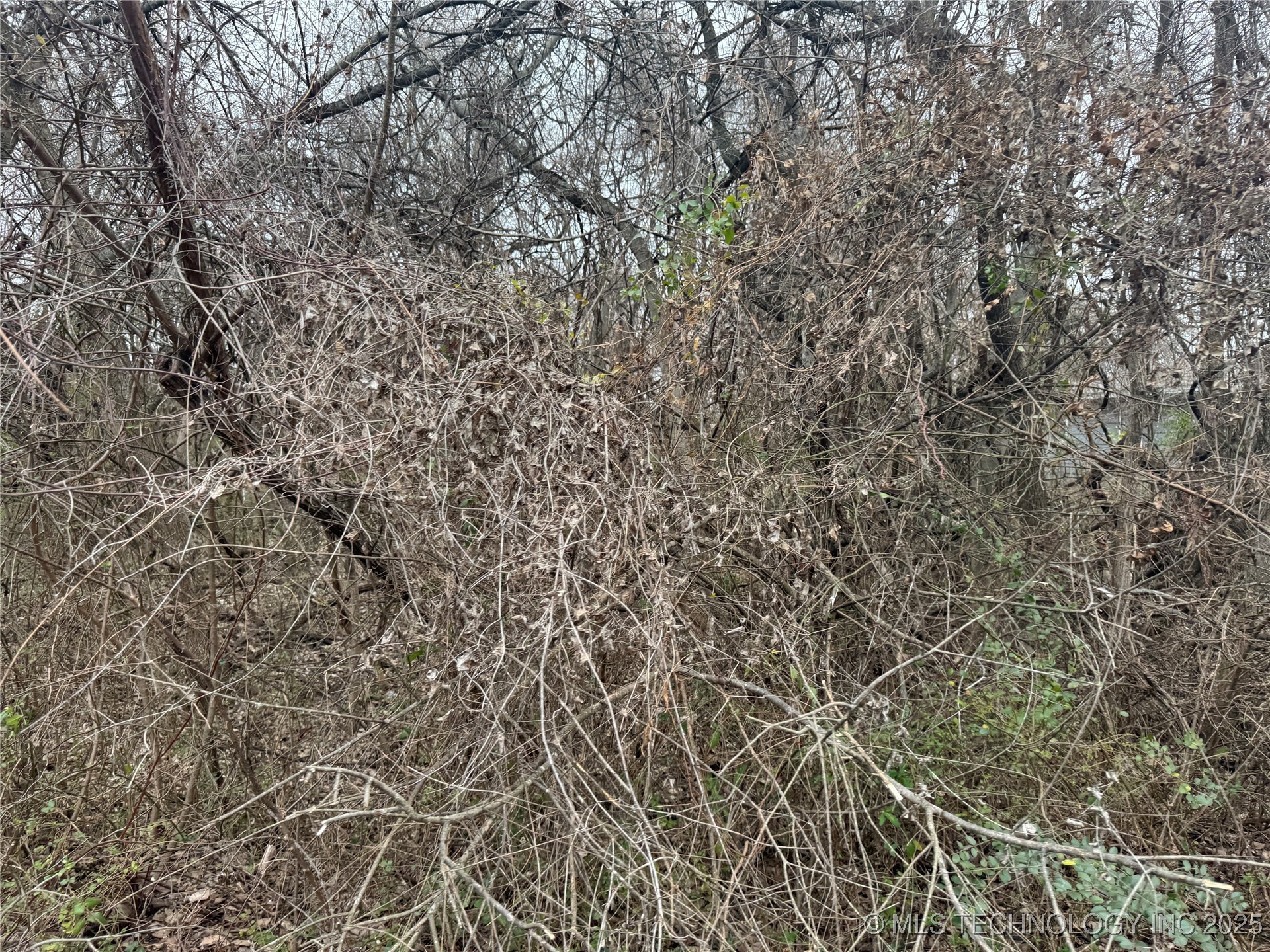 1697 N 20th Street Property Photo