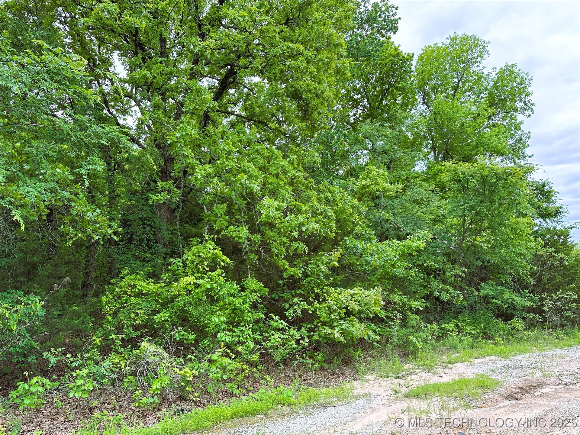 Chism Avenue Property Photo