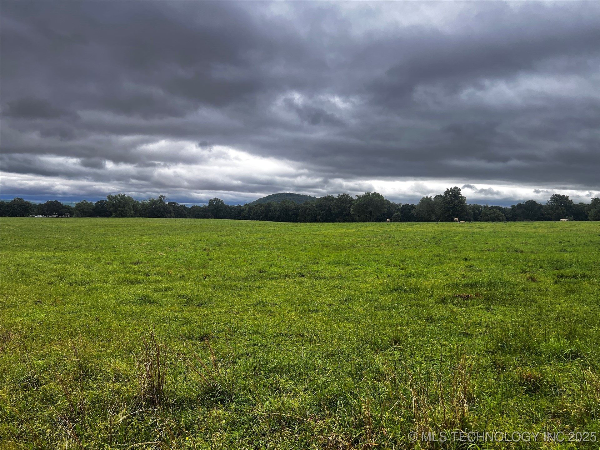 N 4530 Road Property Photo 1