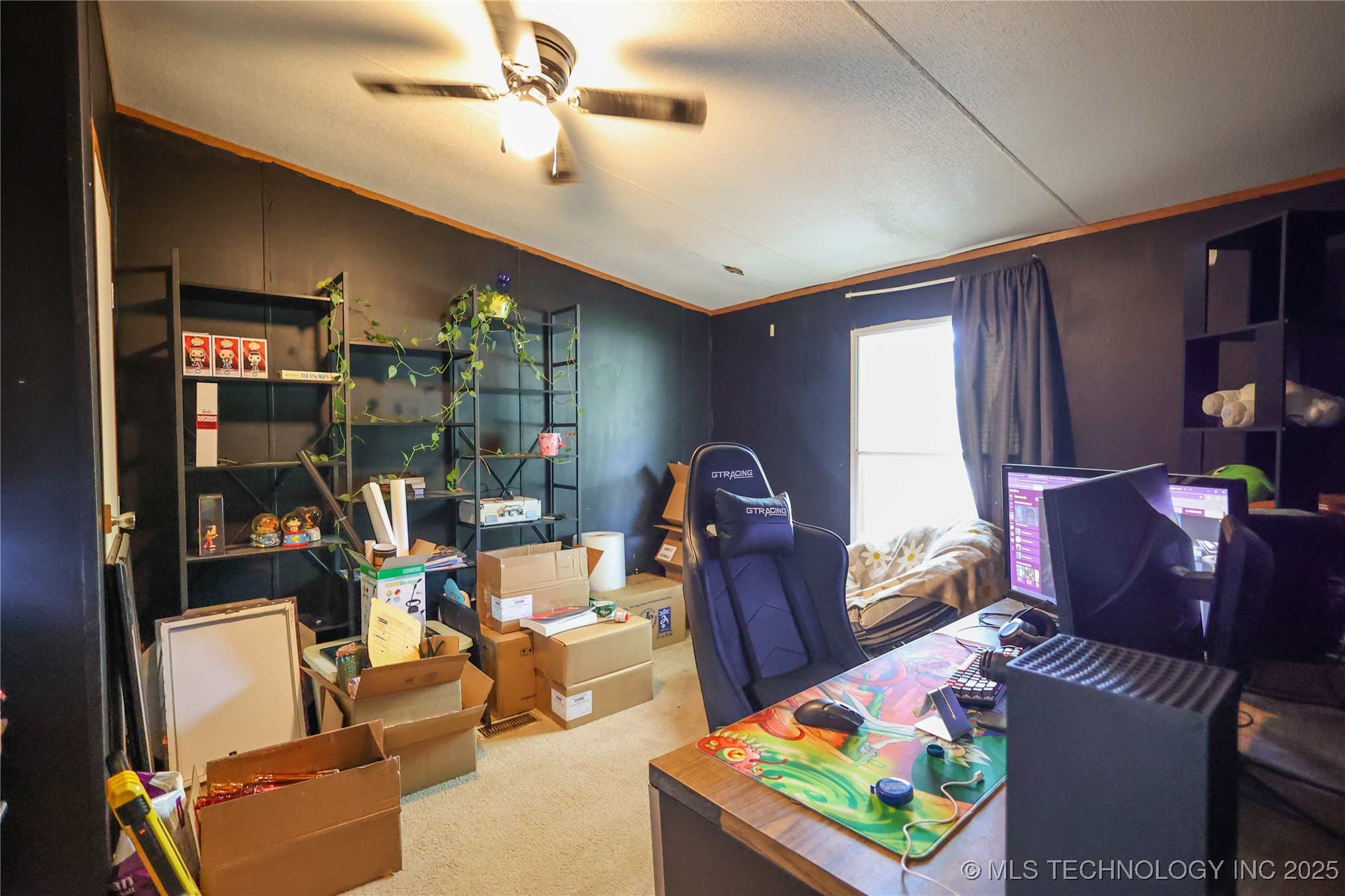 1019 W 17th Property Photo 2