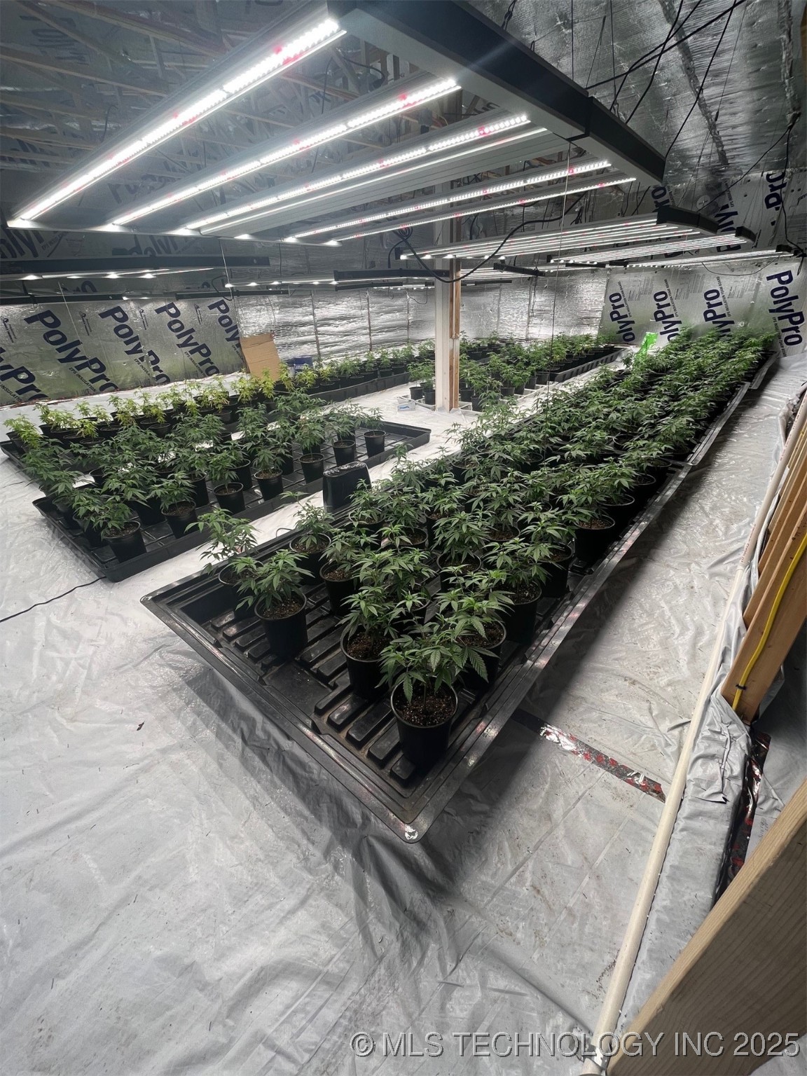 3000 Wildflower Property Photo 20