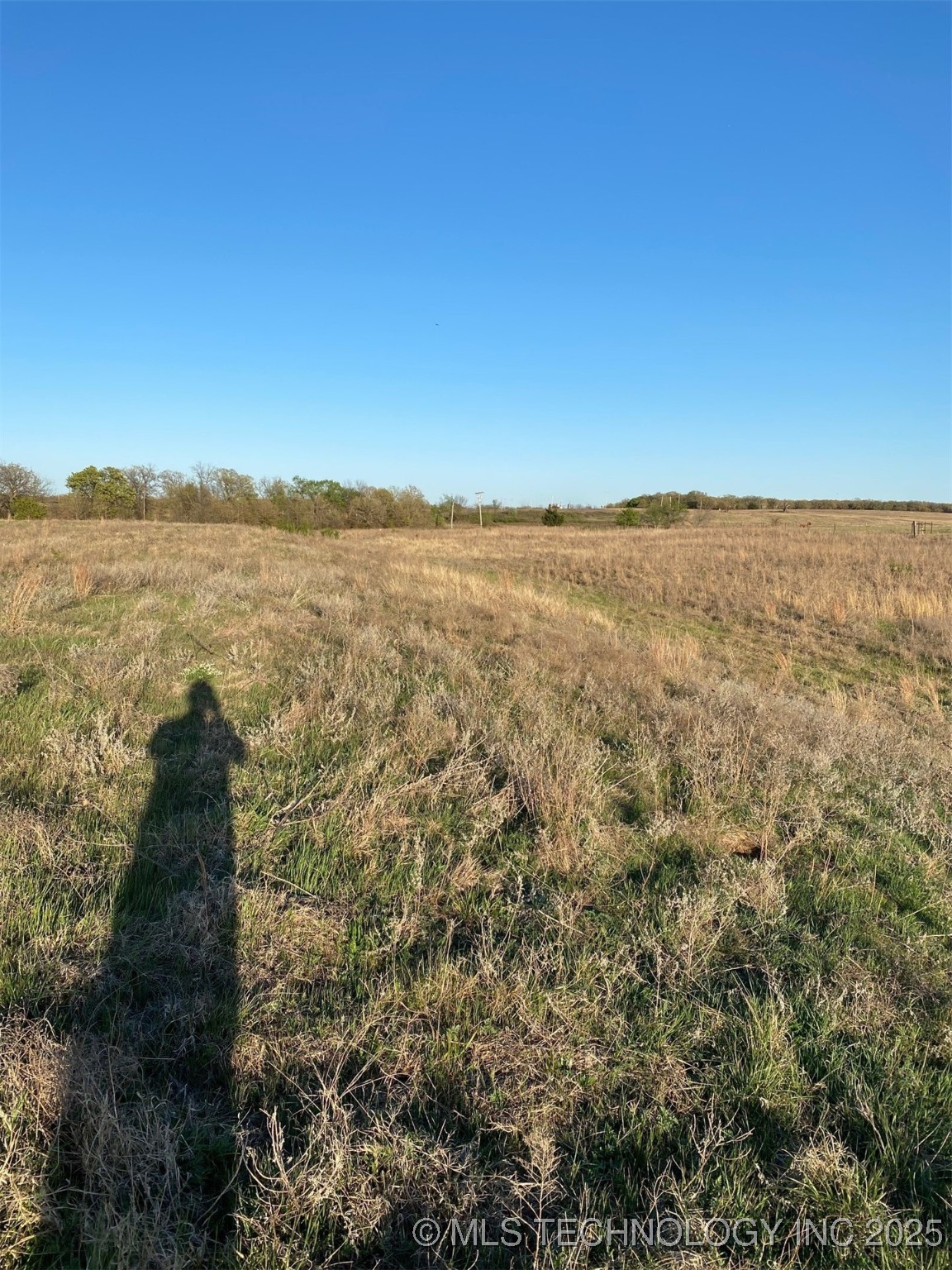 3000 Wildflower Property Photo 32