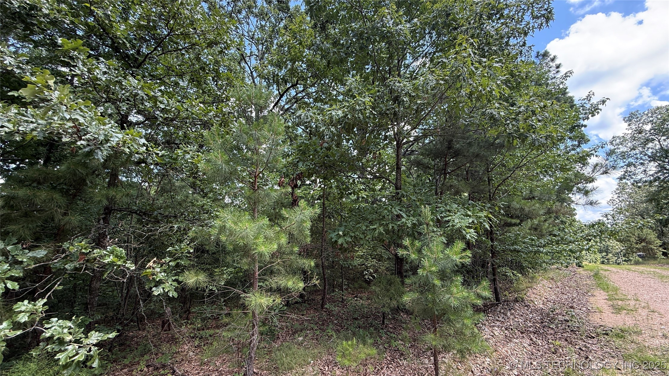 1747 Berryhill Road Property Photo 1