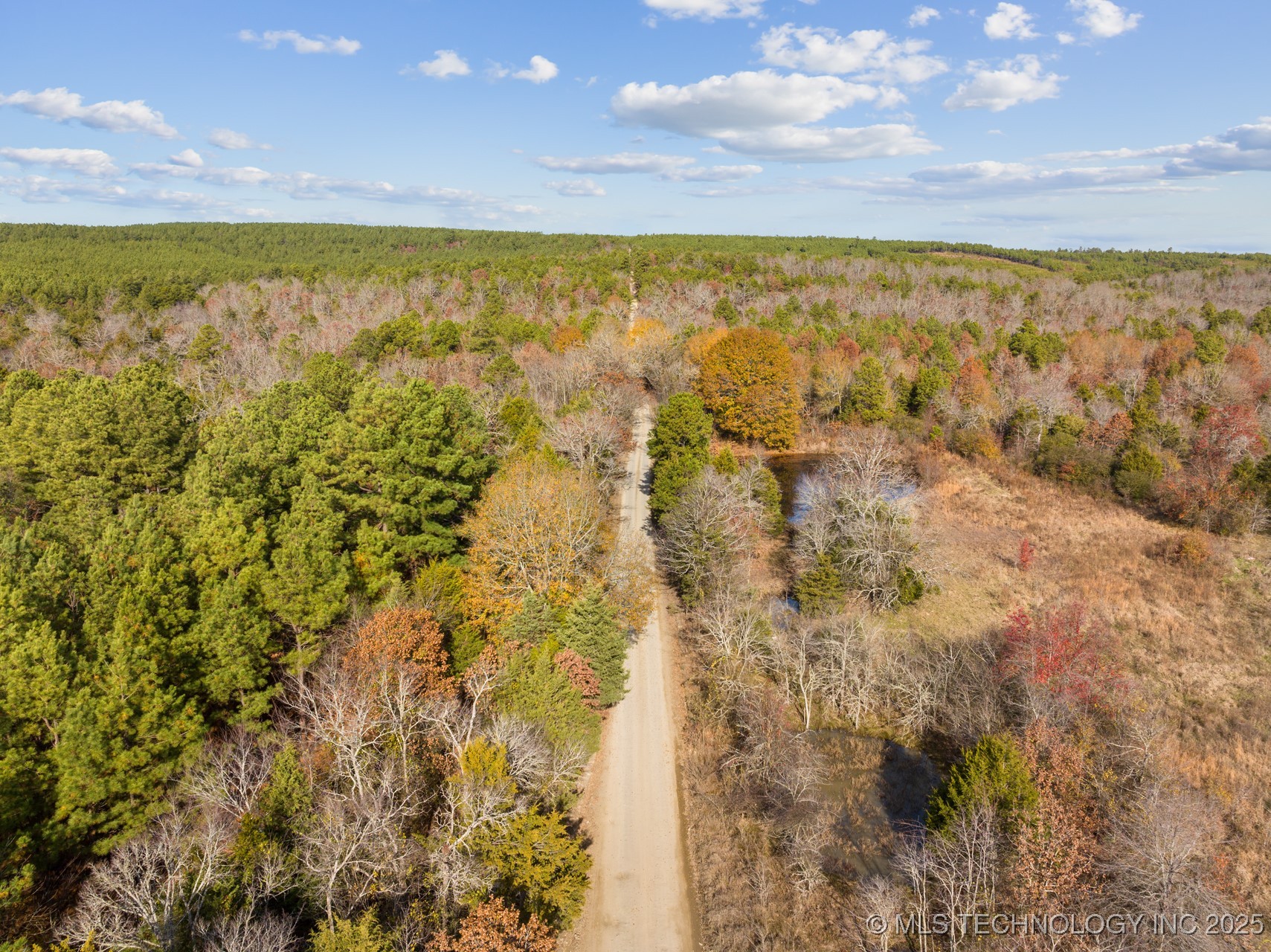 50 Tram Trail Property Photo 3