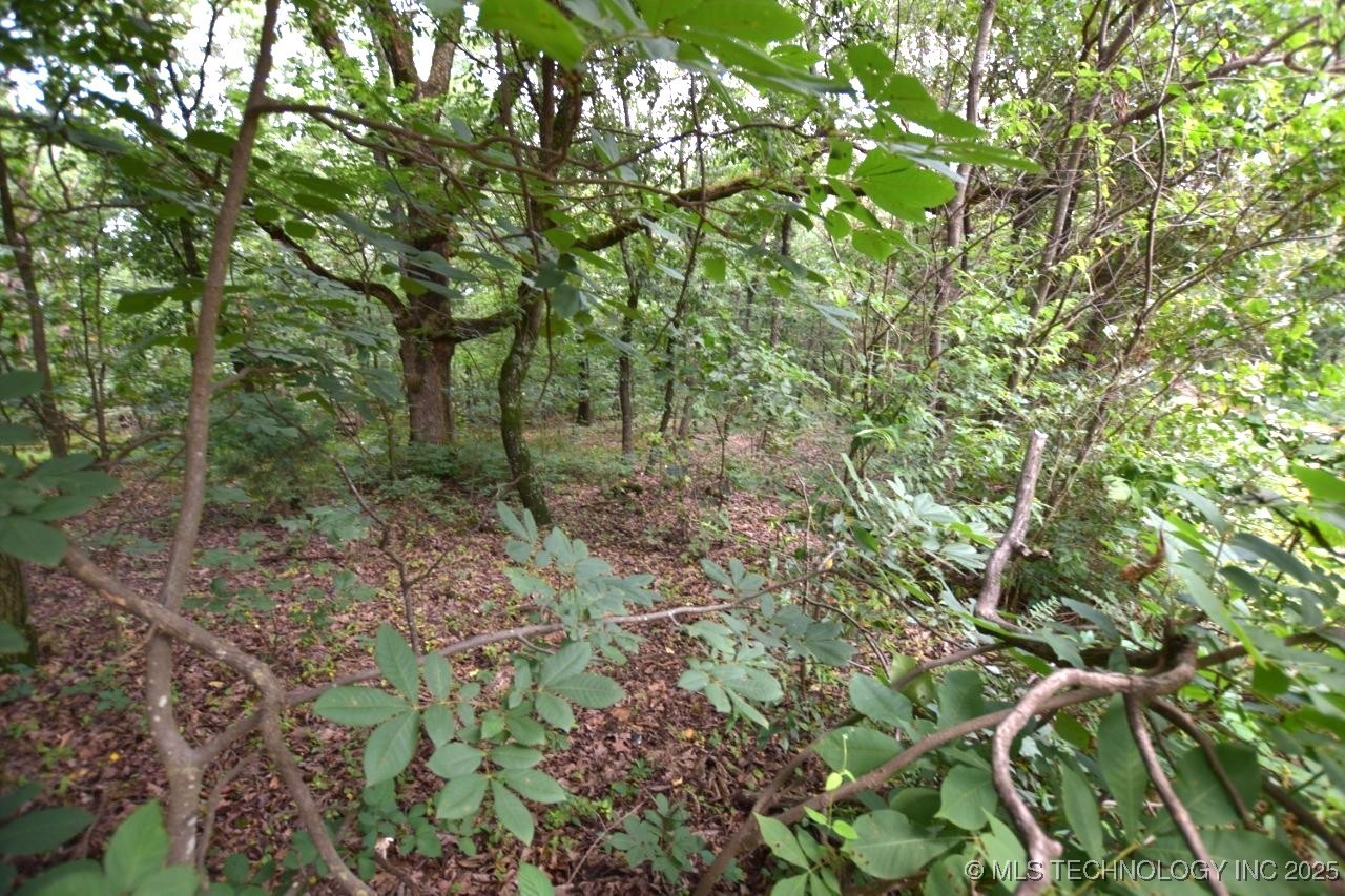 12401 Readings Road Property Photo 1