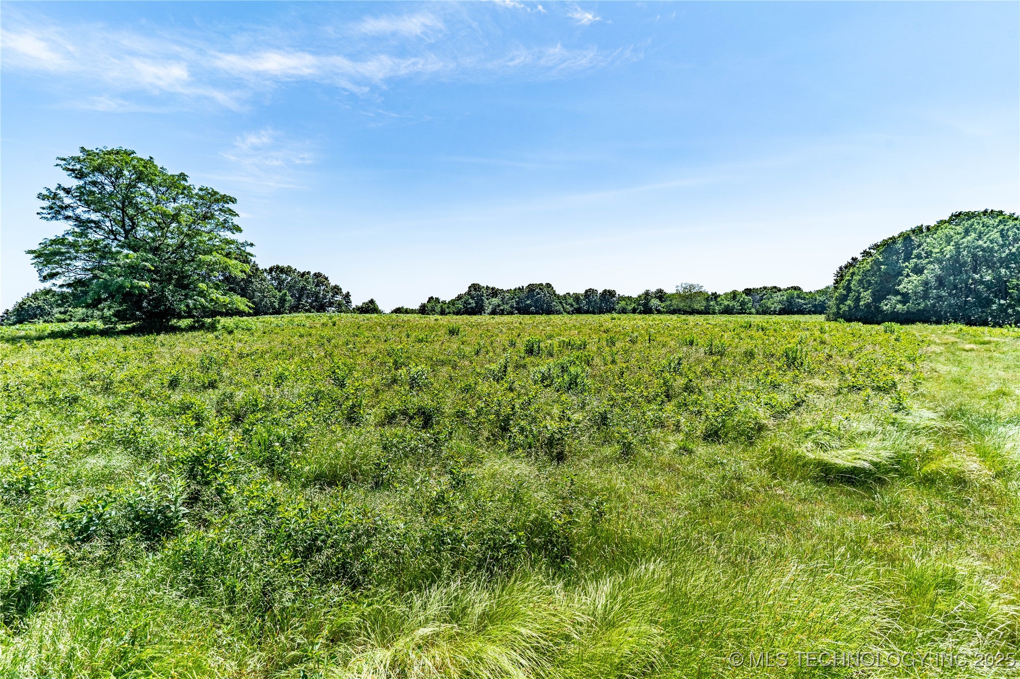 4490 Property Photo 11