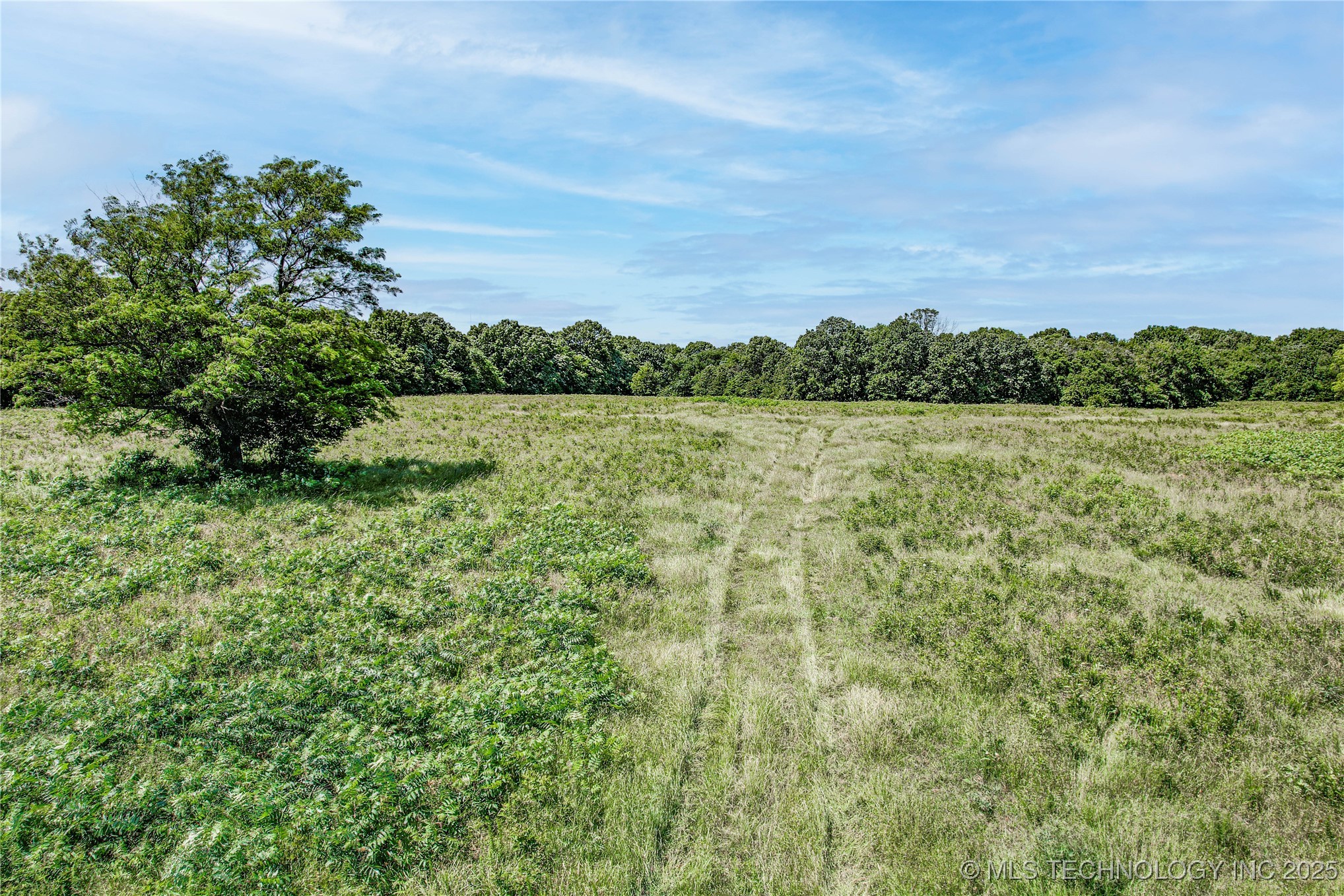 4490 Property Photo 12