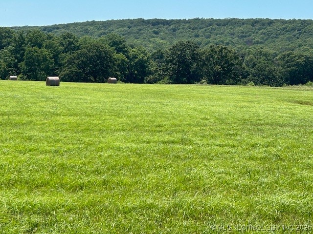 18600 Us Highway 64 Highway S Property Photo 1
